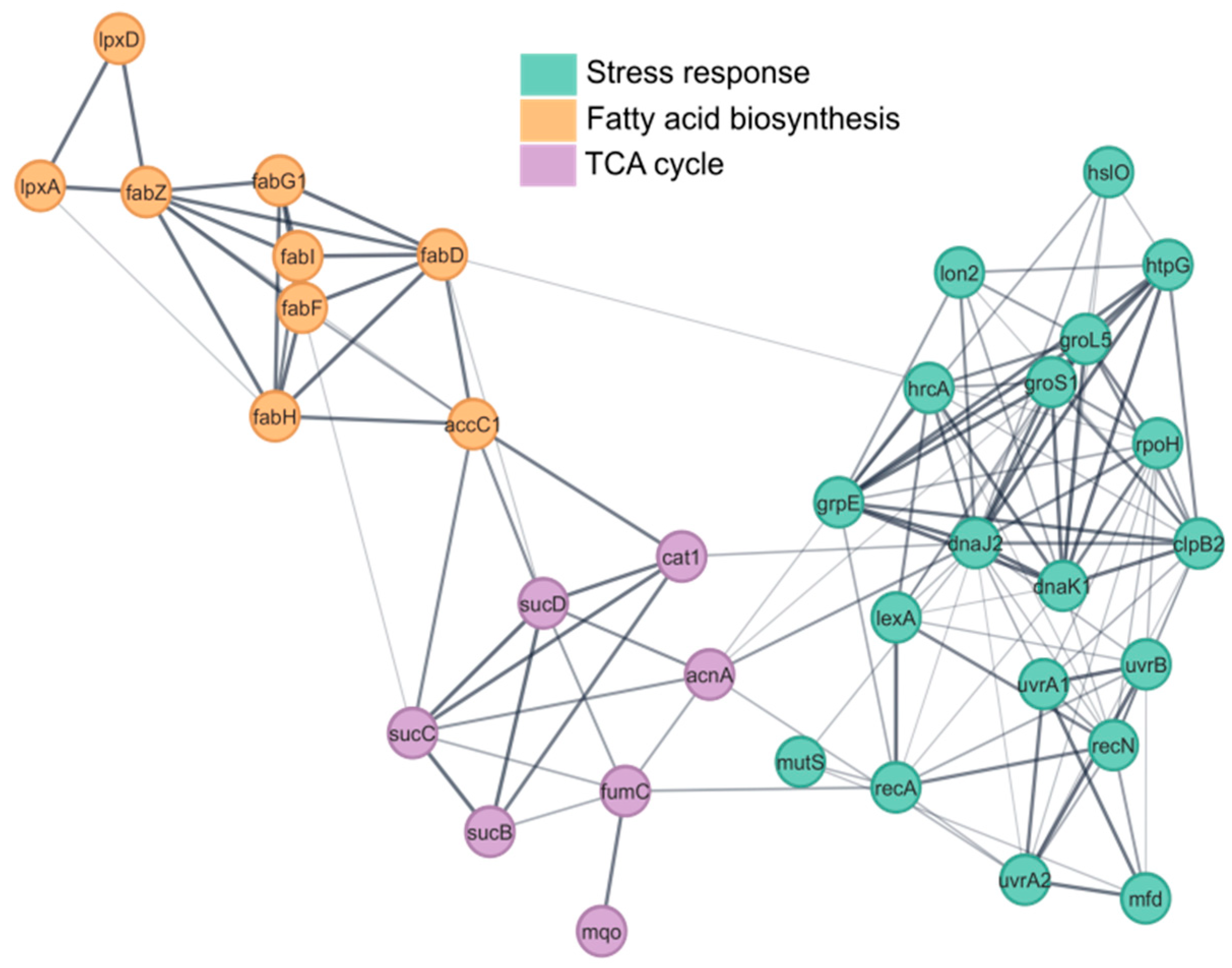 Fermentation 11 00484 g009