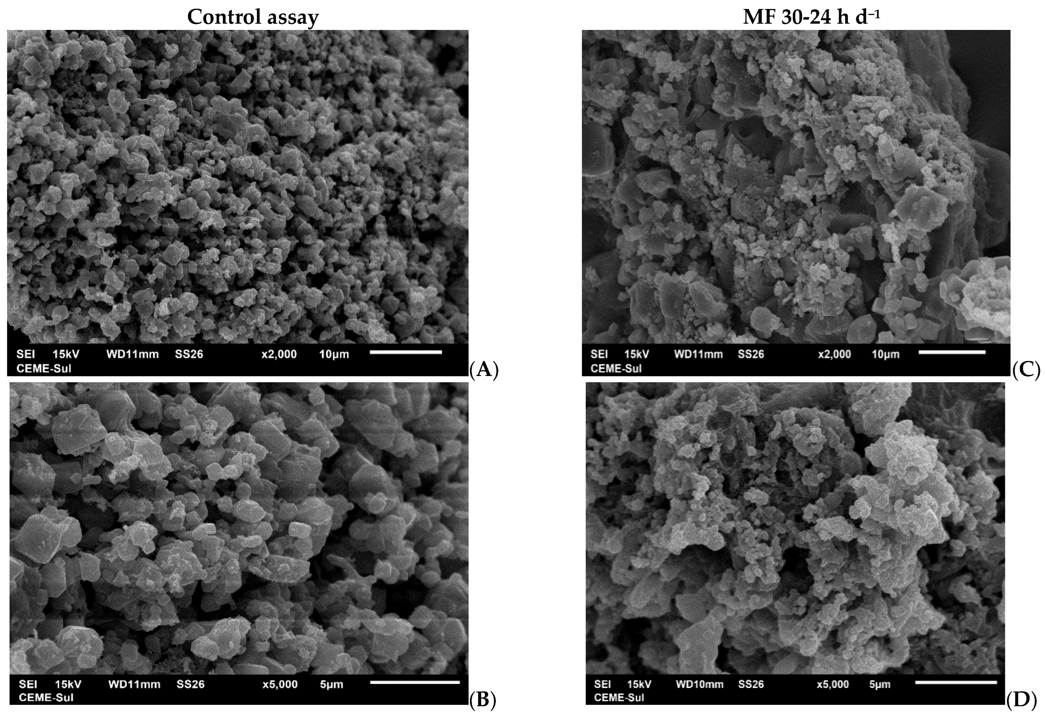 Fermentation 11 00487 g004