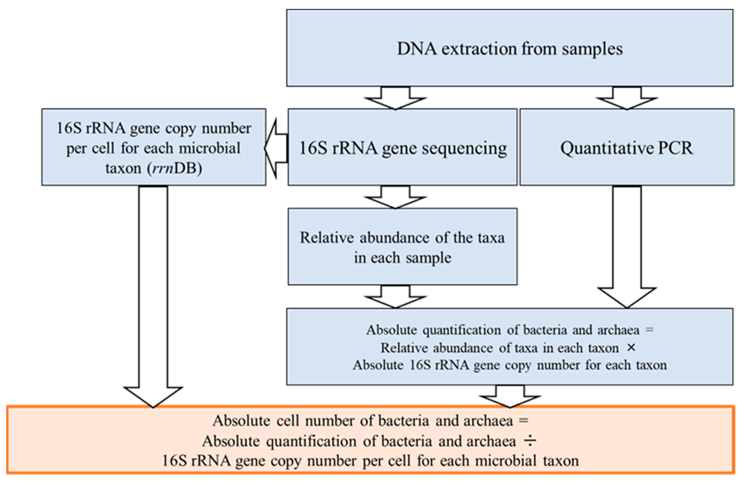 Fermentation 11 00488 g002