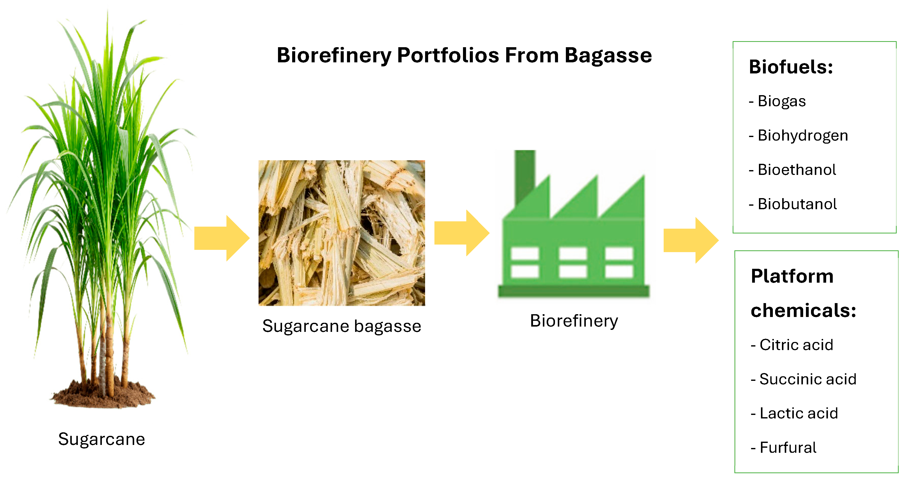Fermentation 11 00489 g001 Fermentation 11 00489 g001