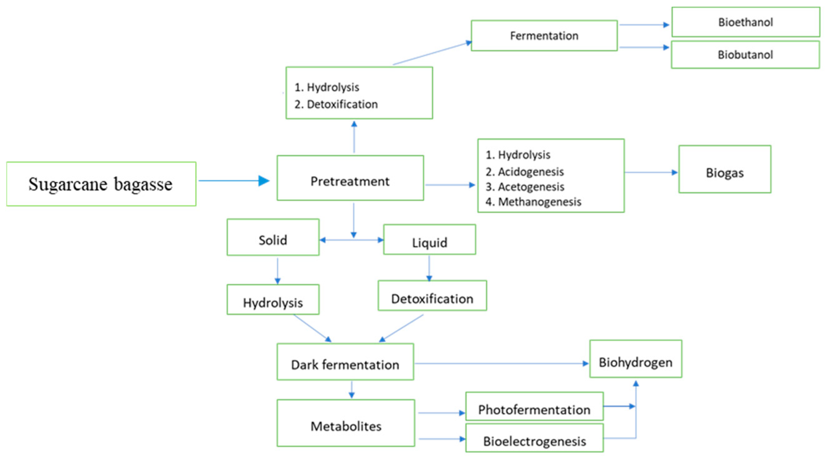 Fermentation 11 00489 g004 Fermentation 11 00489 g004
