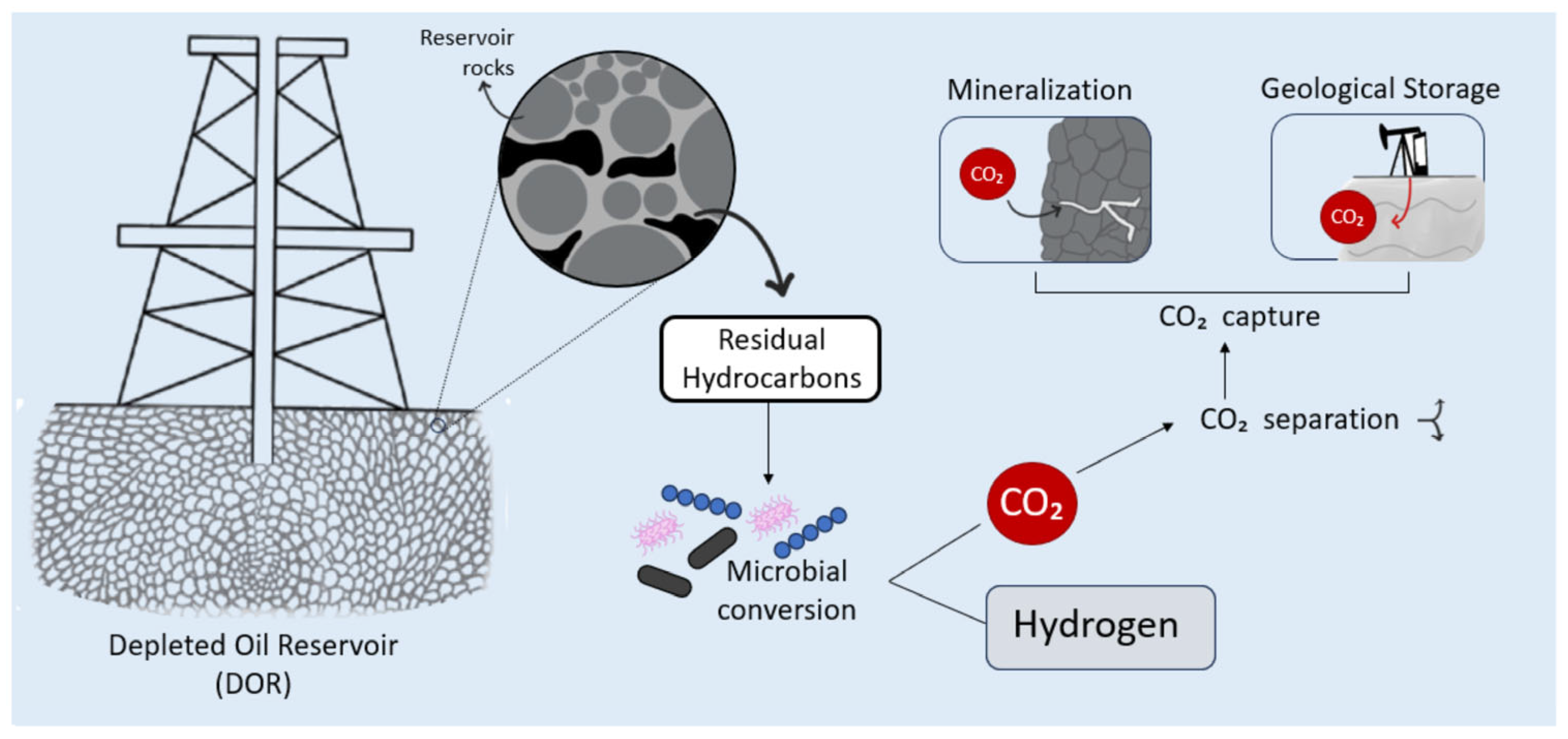 Fermentation 11 00490 g001