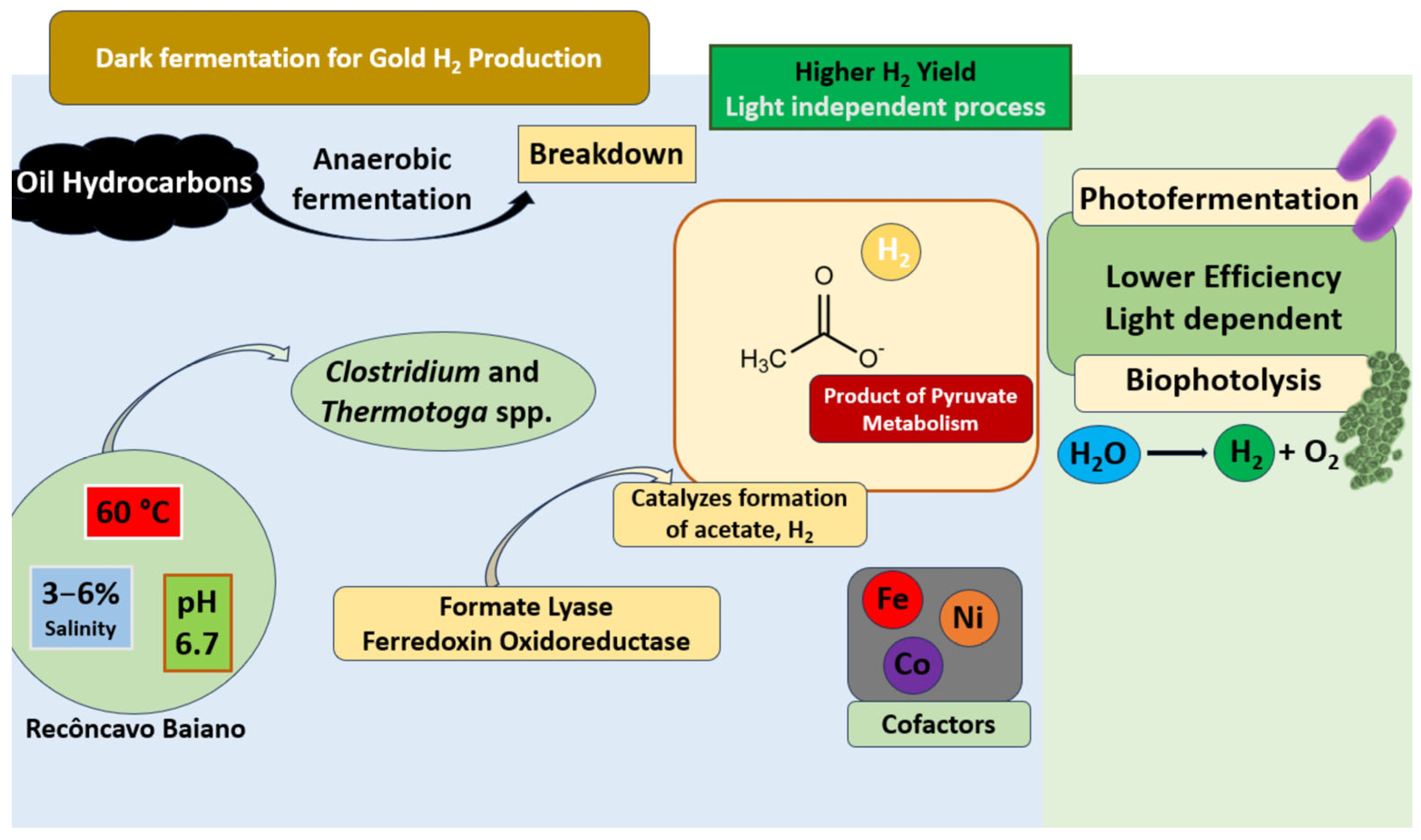 Fermentation 11 00490 g002