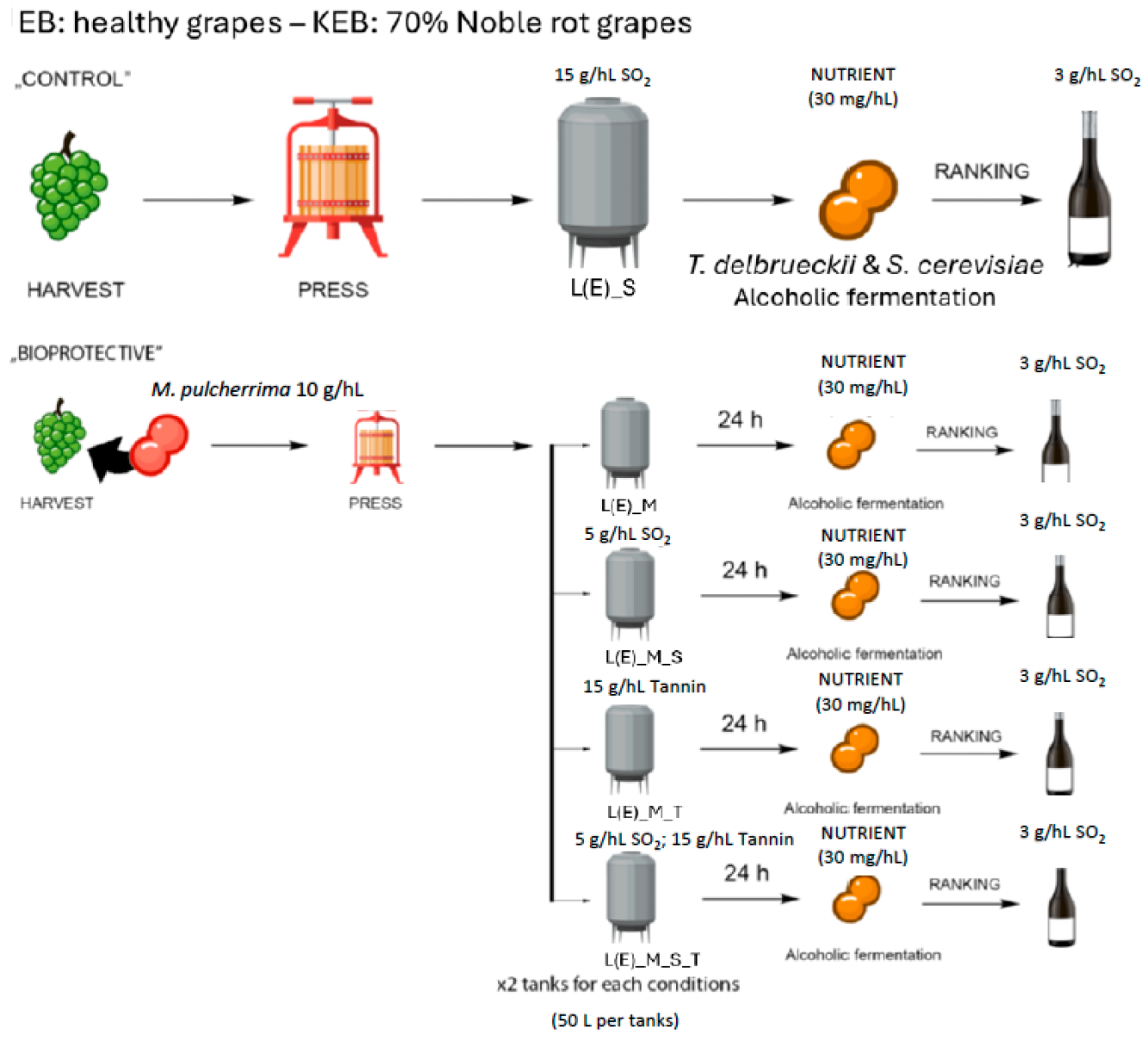 Fermentation 11 00491 g001