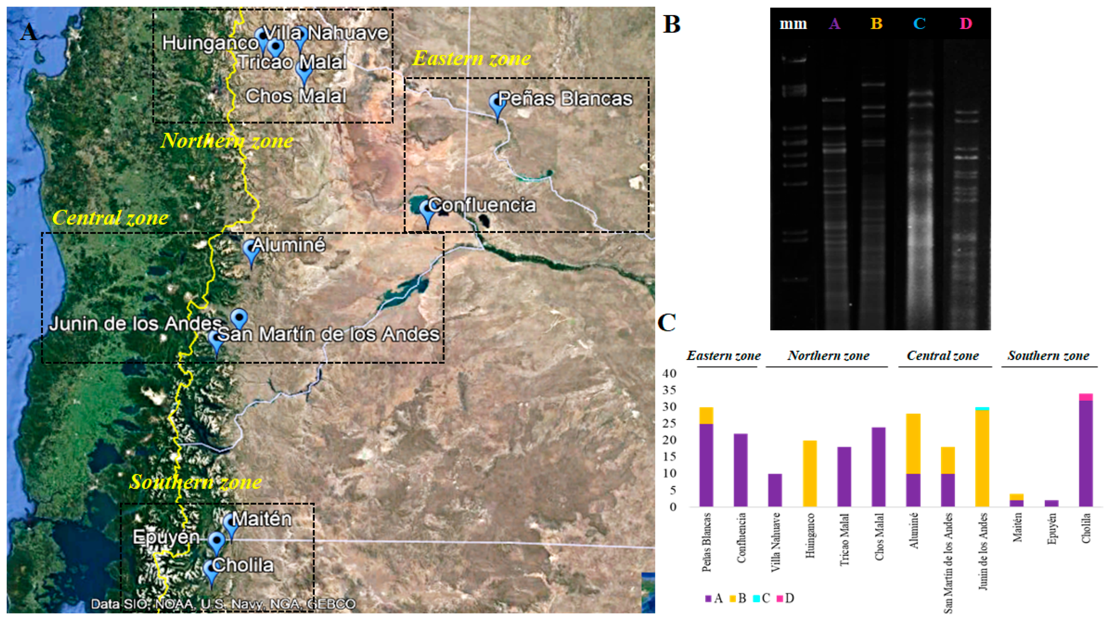 Fermentation 11 00494 g001