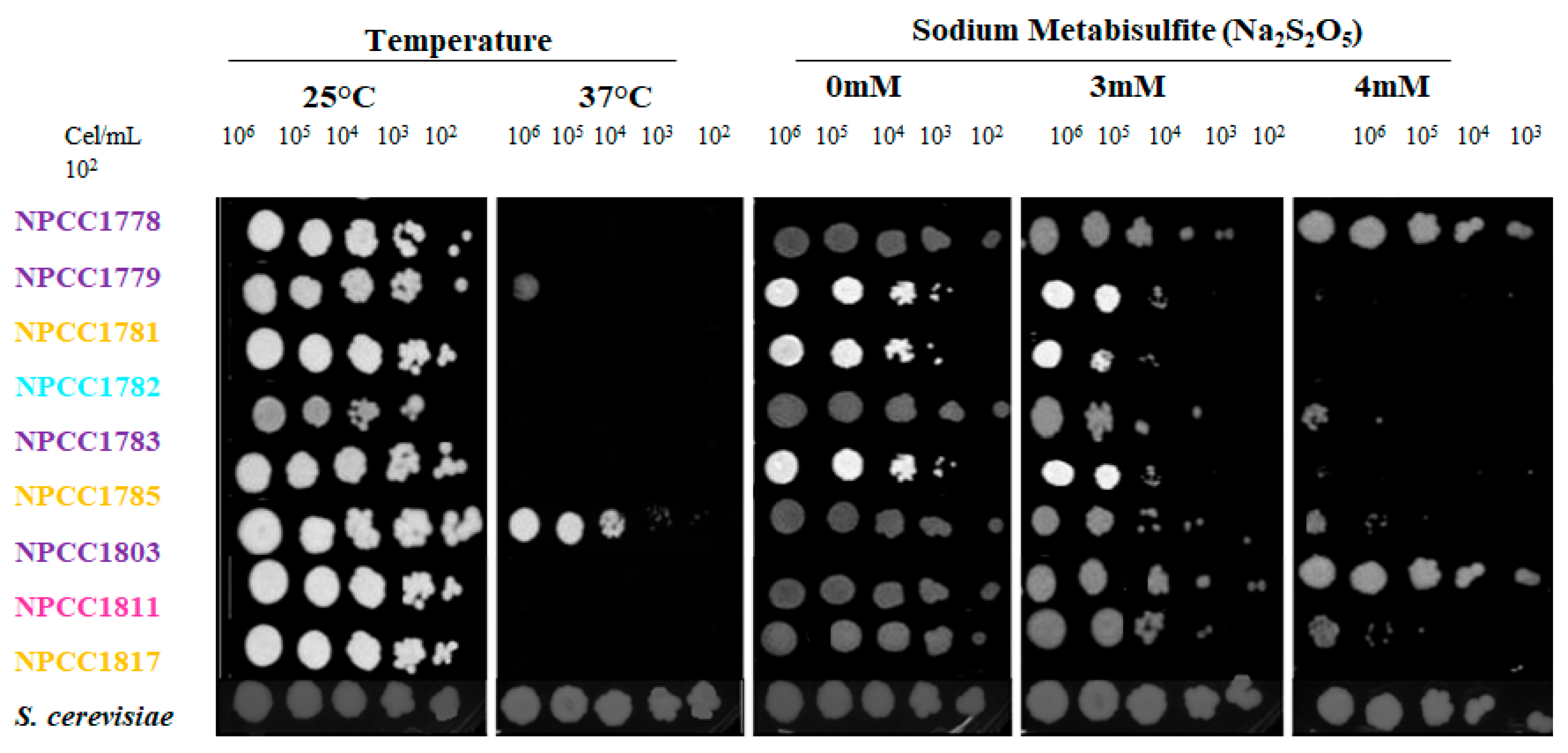Fermentation 11 00494 g0a1