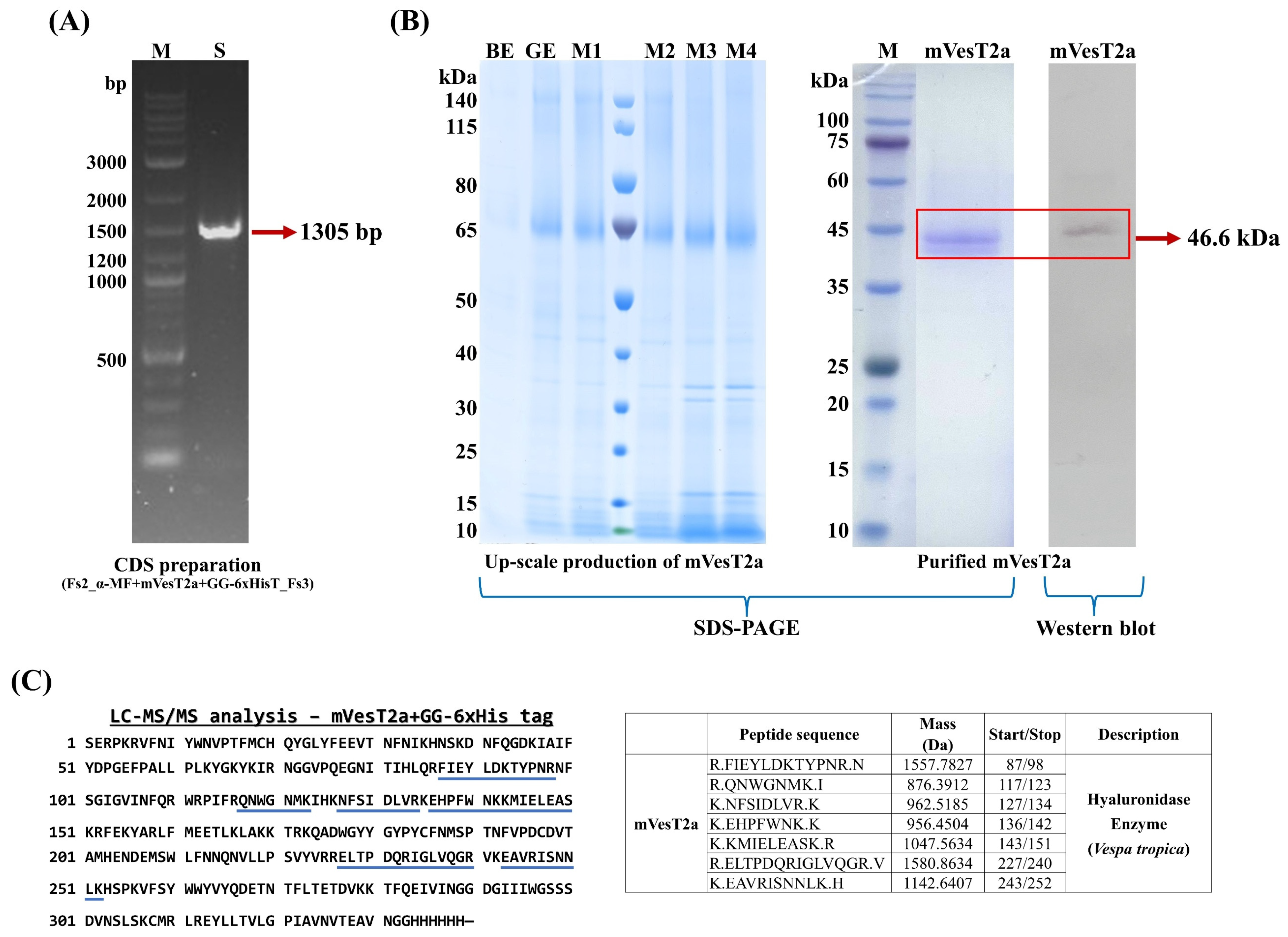 Fermentation 11 00497 g002