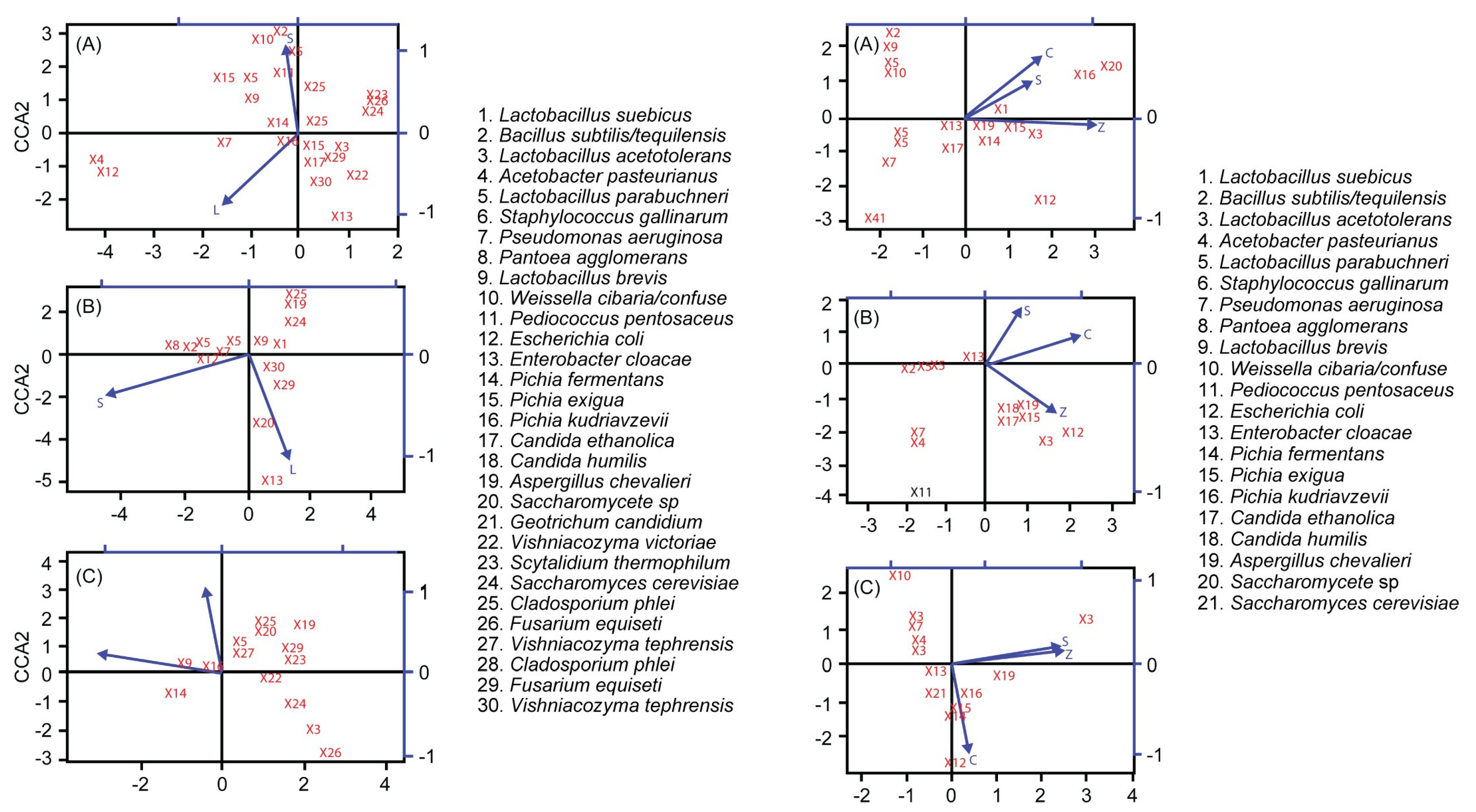 Fermentation 11 00501 g006
