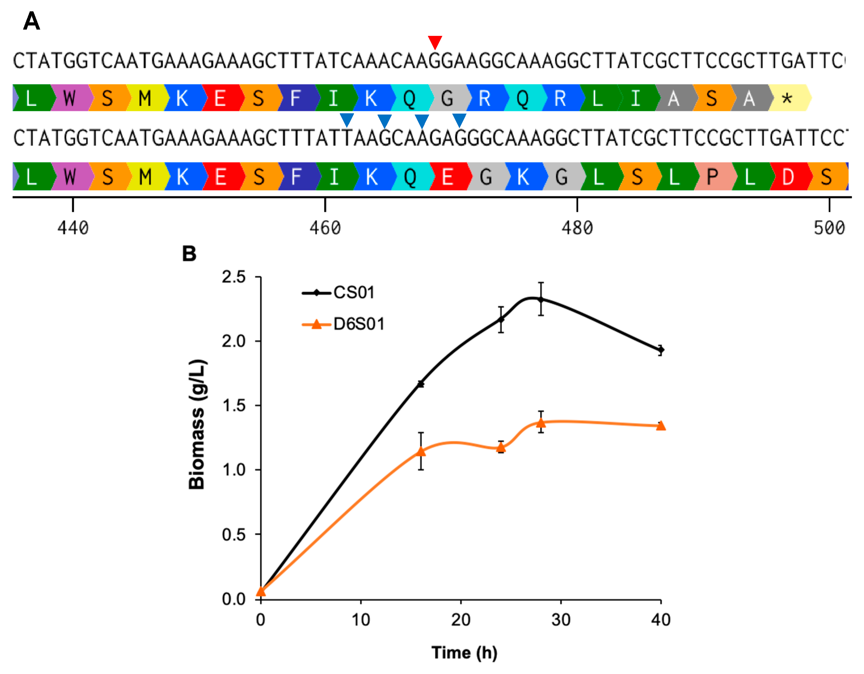 Fermentation 11 00508 g001a
