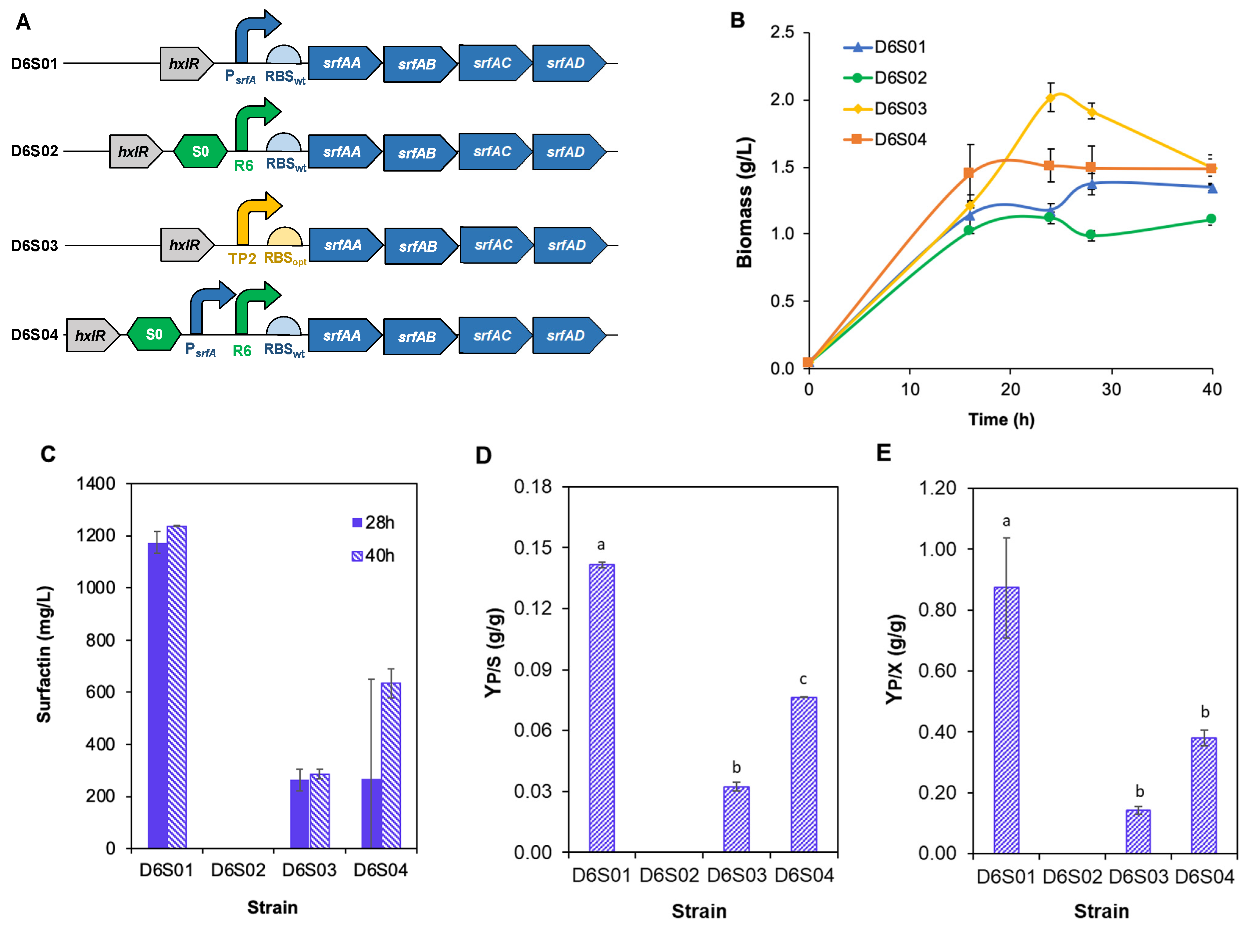 Fermentation 11 00508 g002