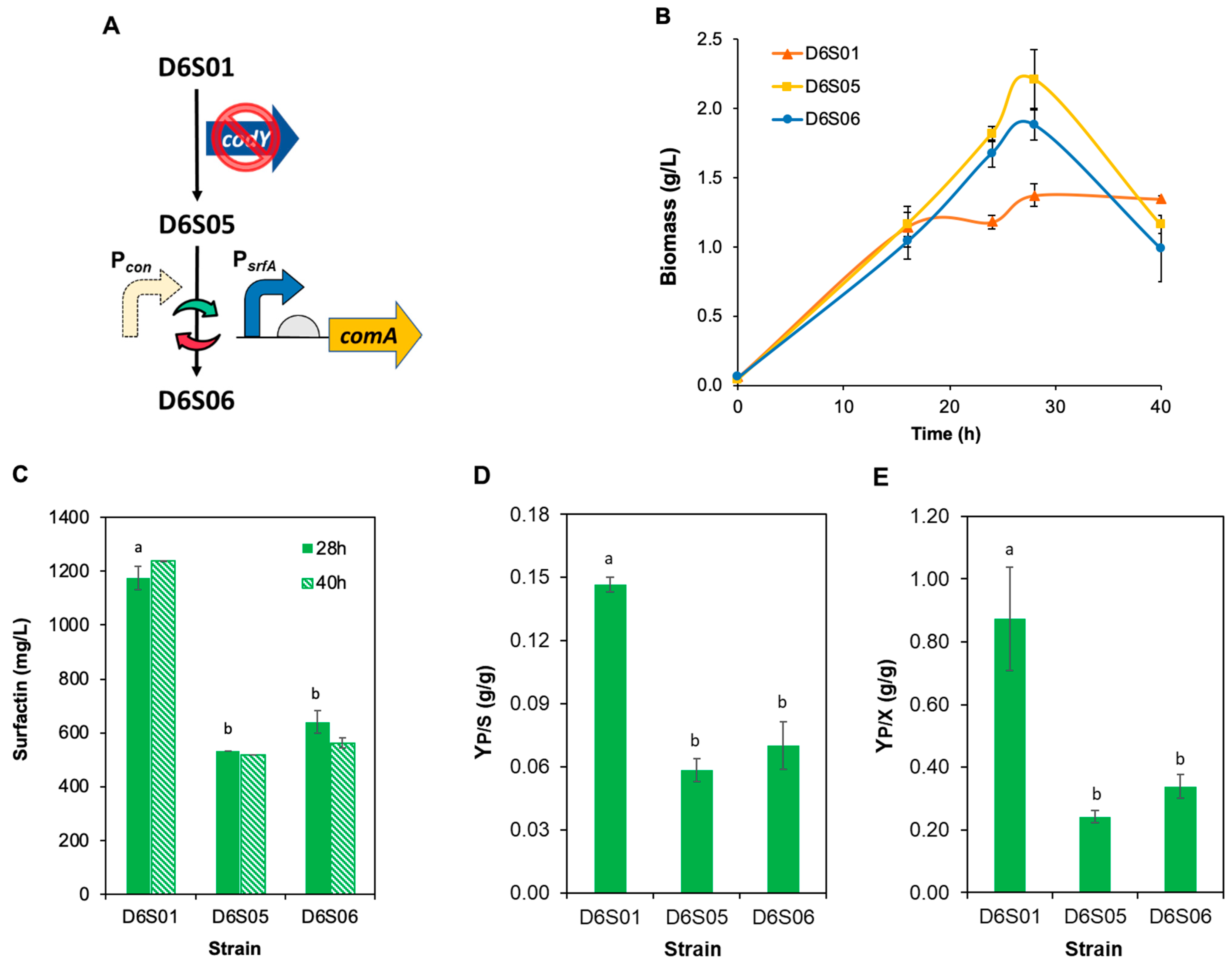 Fermentation 11 00508 g003