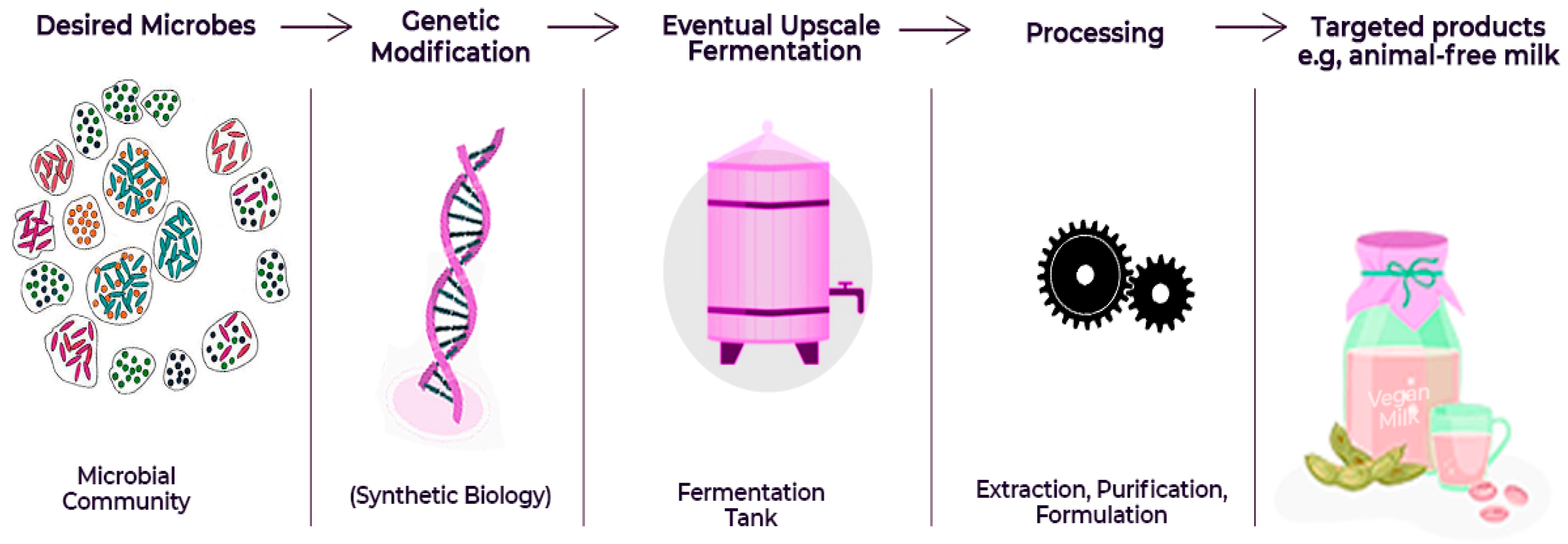 Fermentation 11 00509 g002