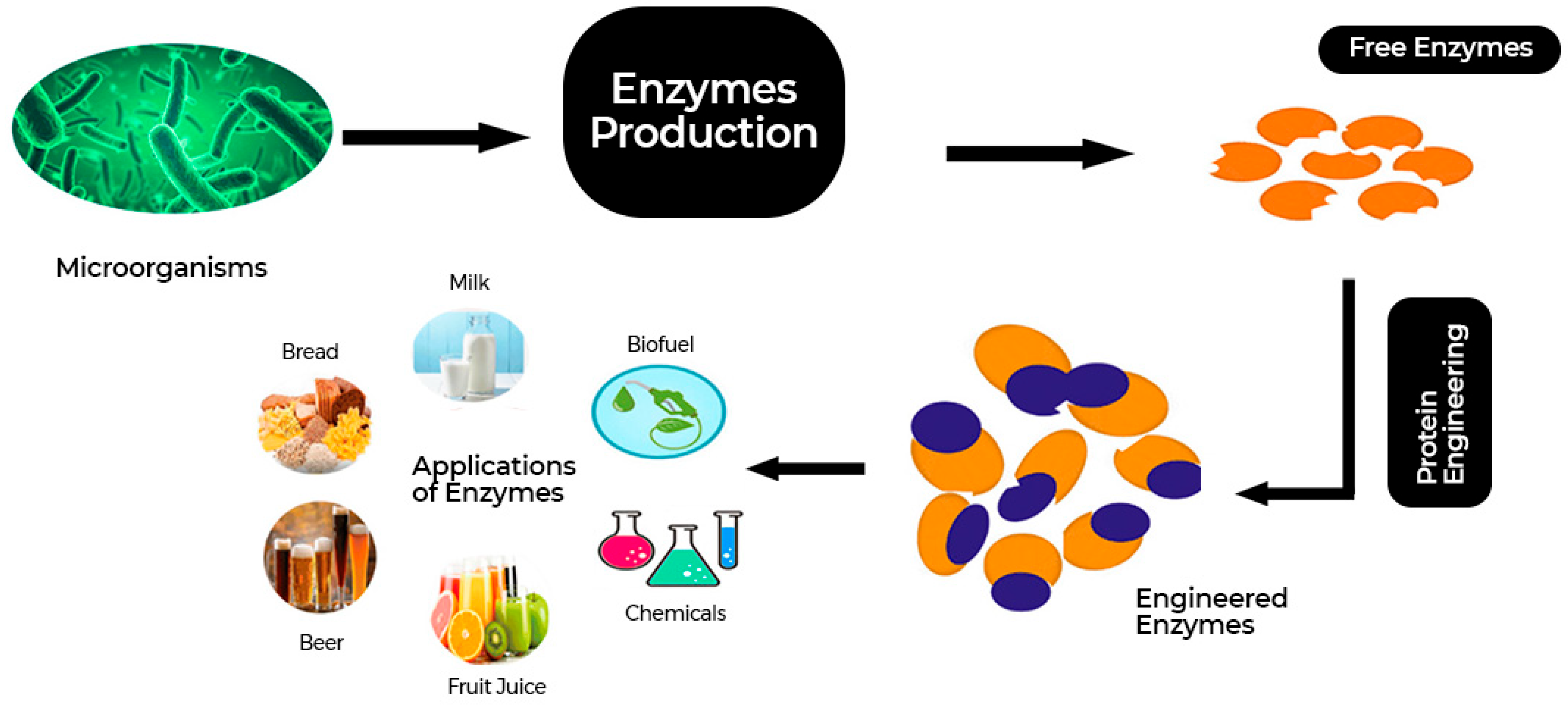 Fermentation 11 00509 g006