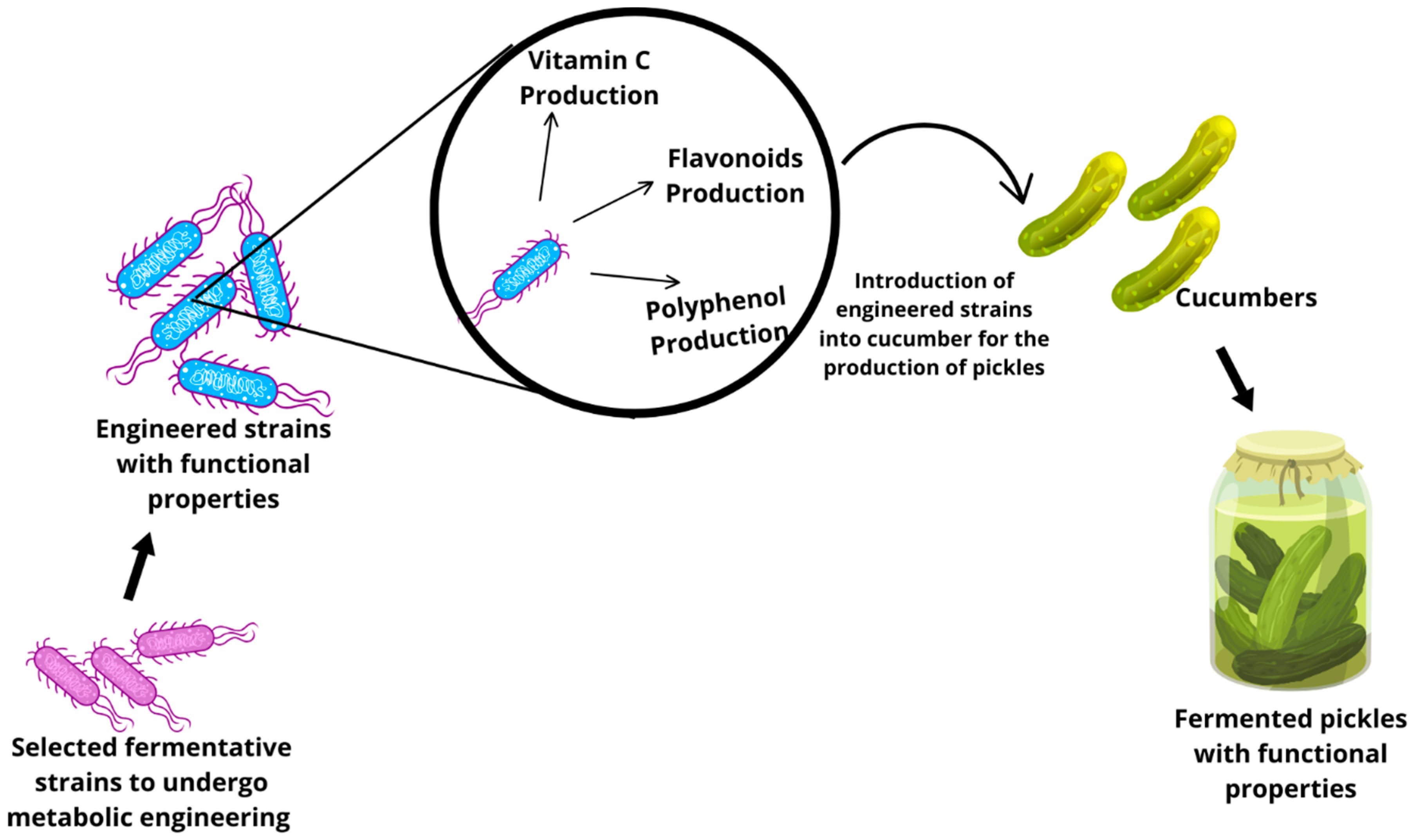 Fermentation 11 00509 g008