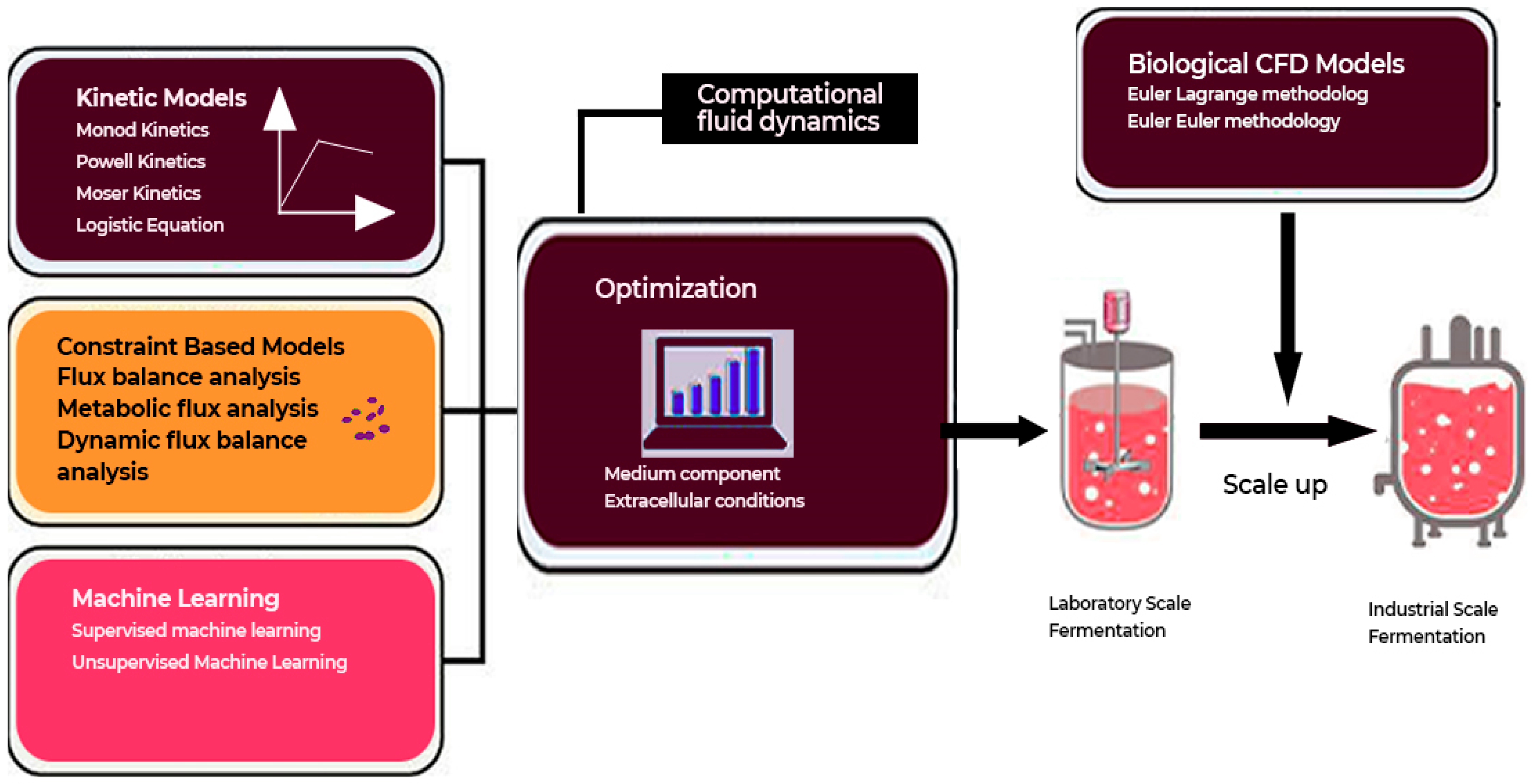 Fermentation 11 00509 g016