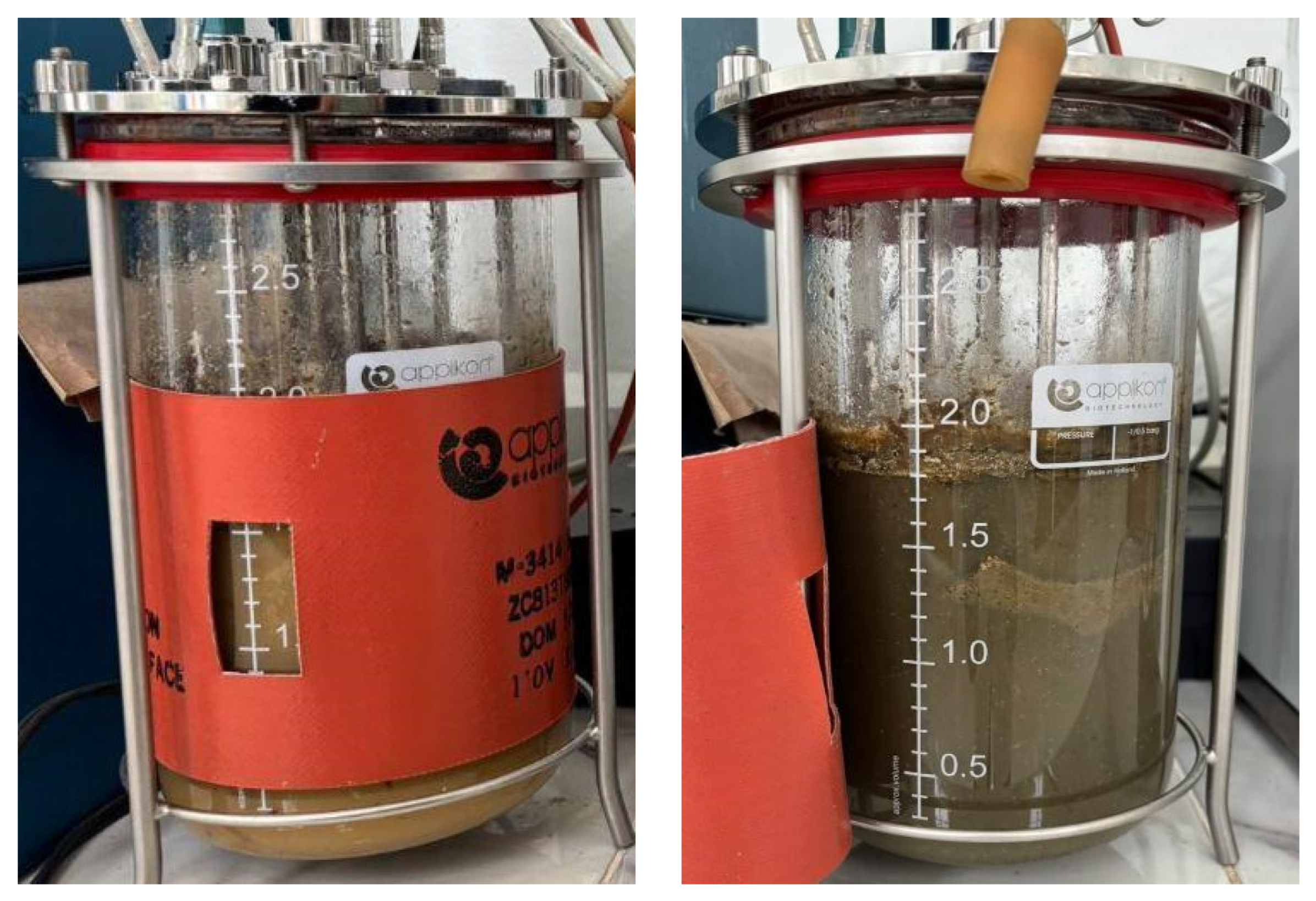 Fermentation 11 00510 g005