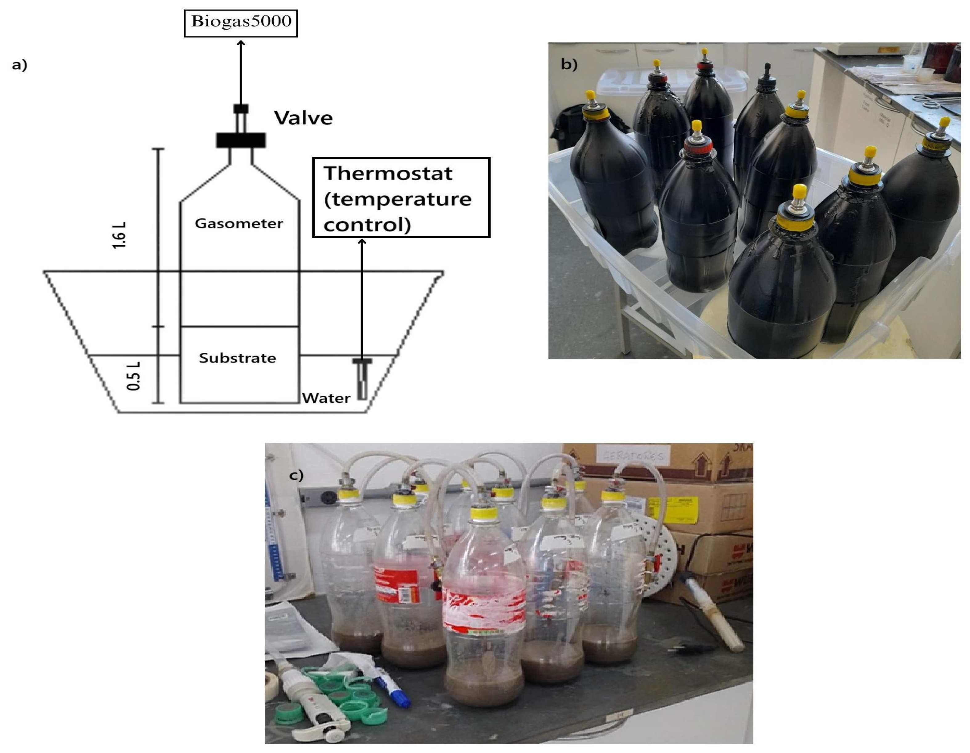 Fermentation 11 00516 g001