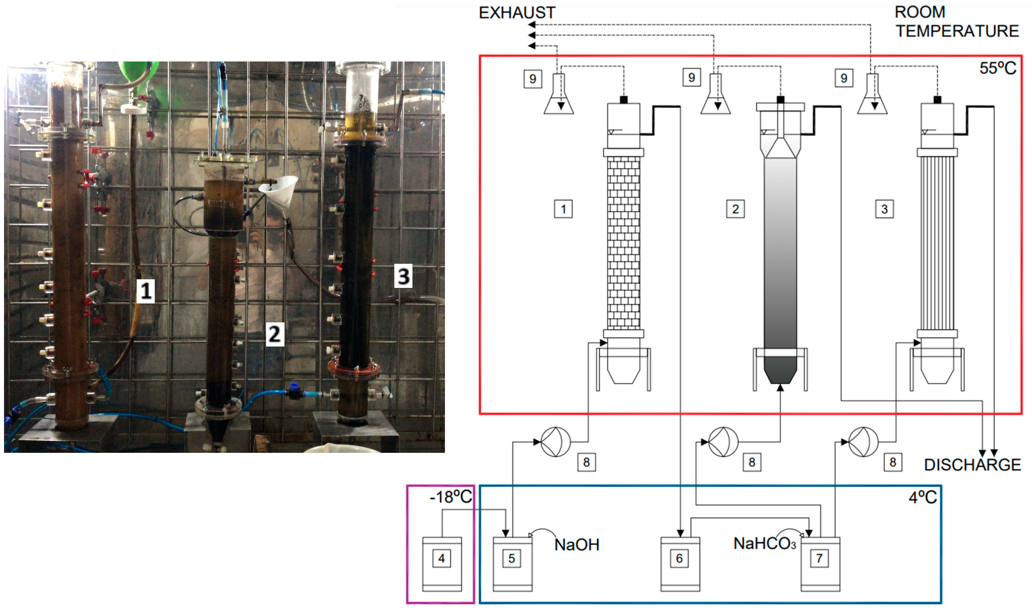 Fermentation 11 00518 g001 Fermentation 11 00518 g001