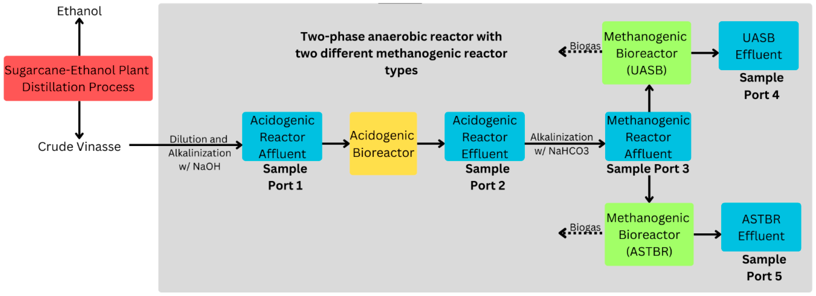 Fermentation 11 00518 g002 Fermentation 11 00518 g002