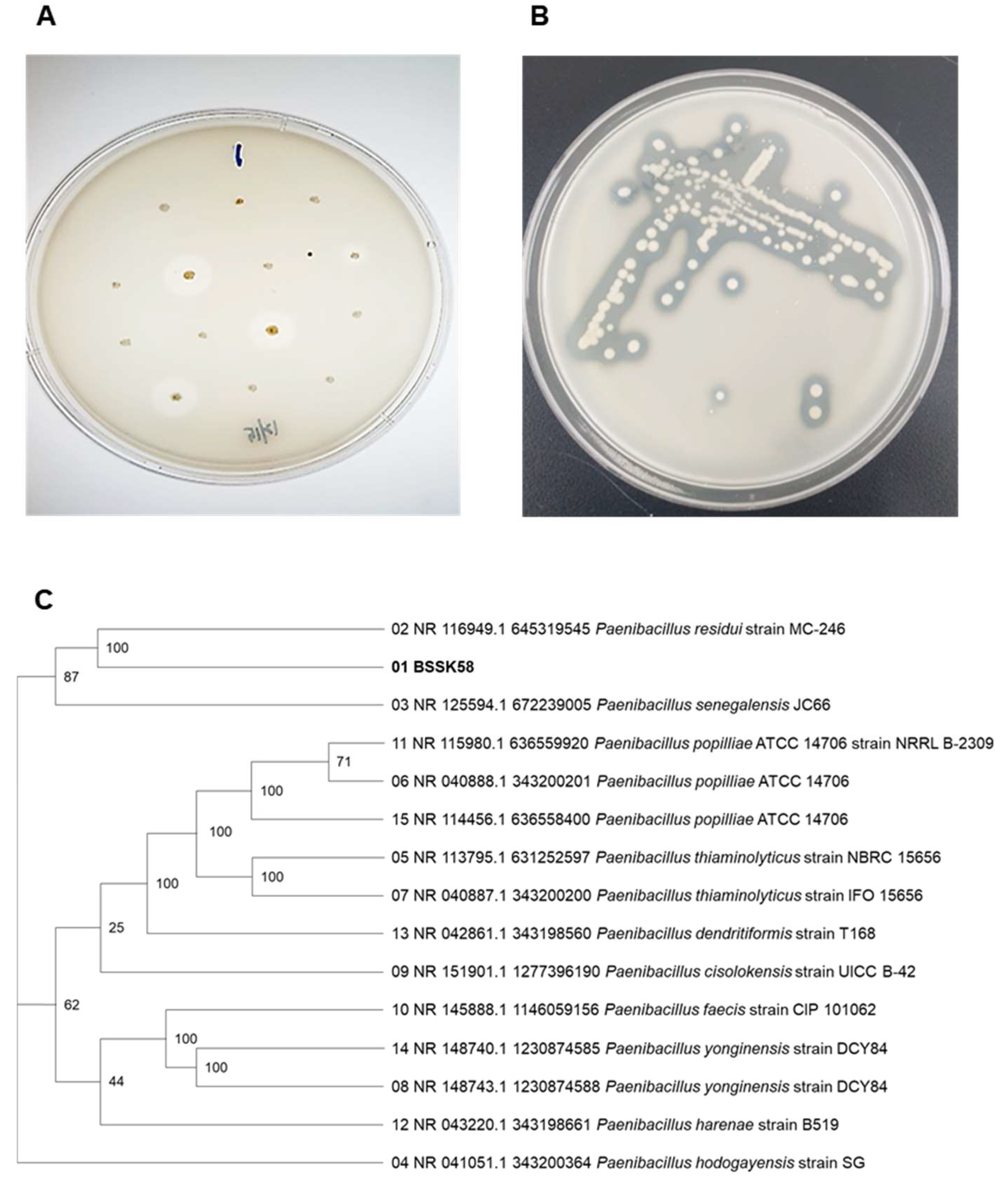 Fermentation 11 00519 g001