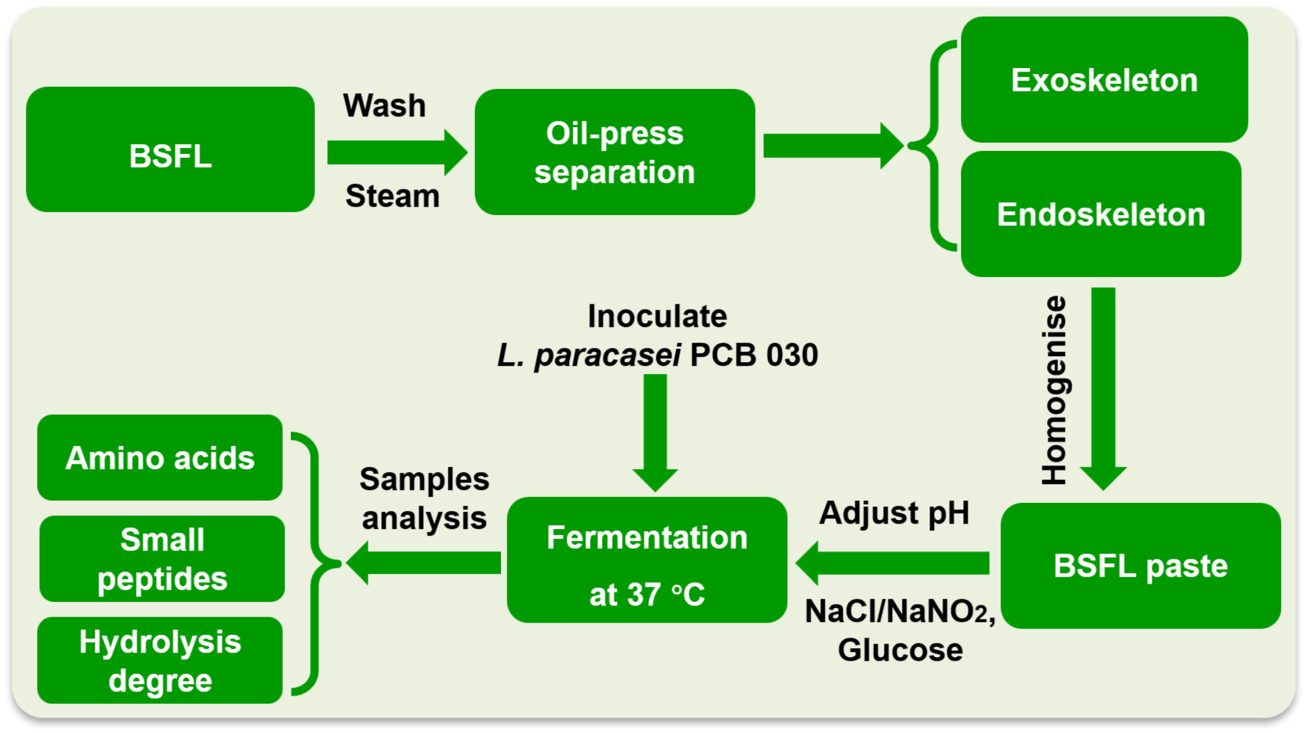 Fermentation 11 00524 g001