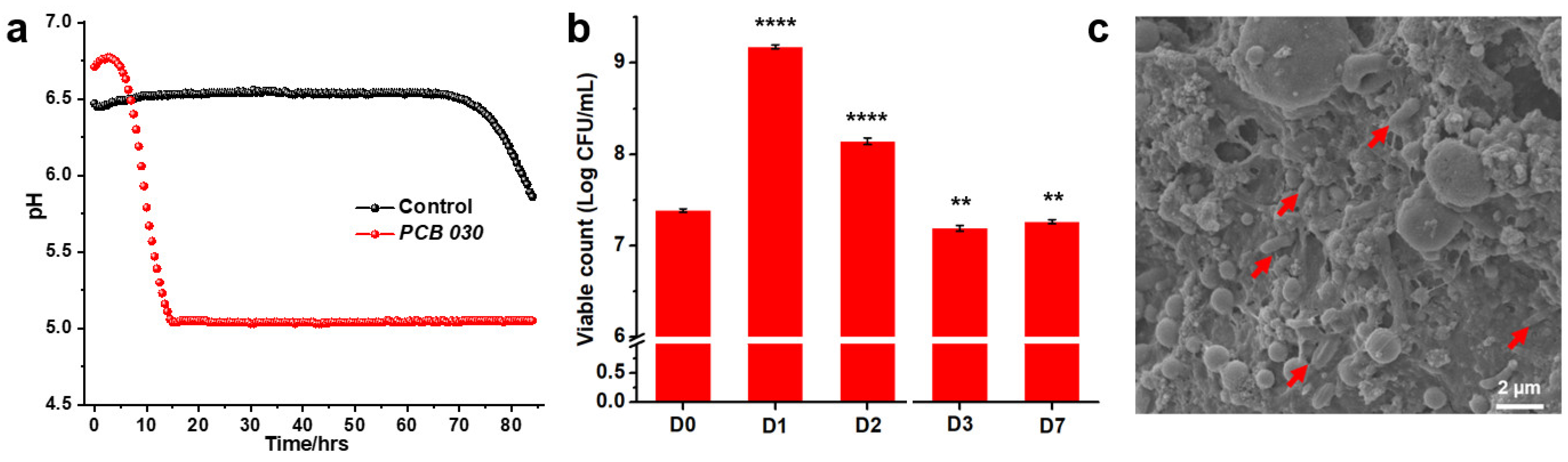 Fermentation 11 00524 g002
