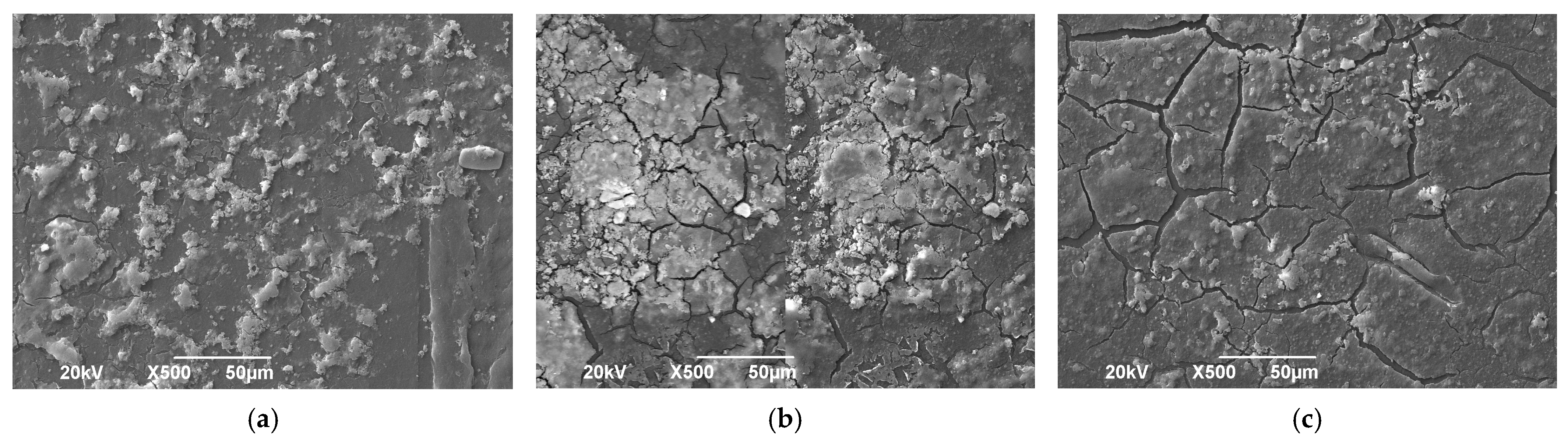Fermentation 11 00527 g006