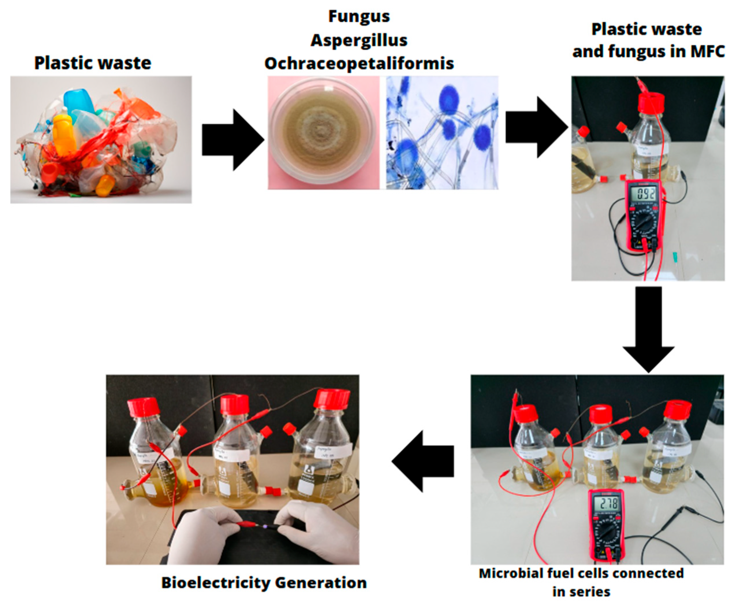 Fermentation 11 00527 g007