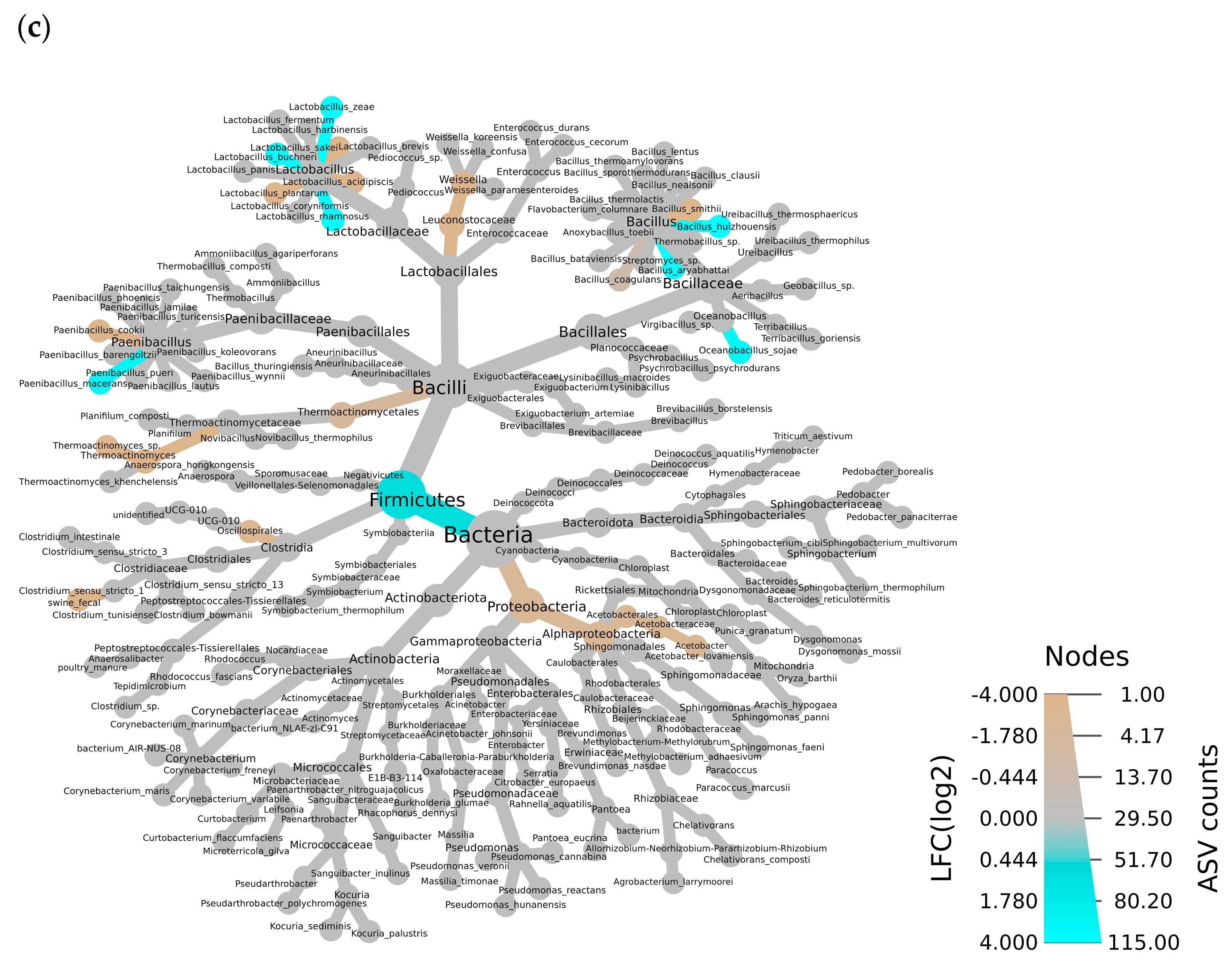 Fermentation 11 00530 g003b