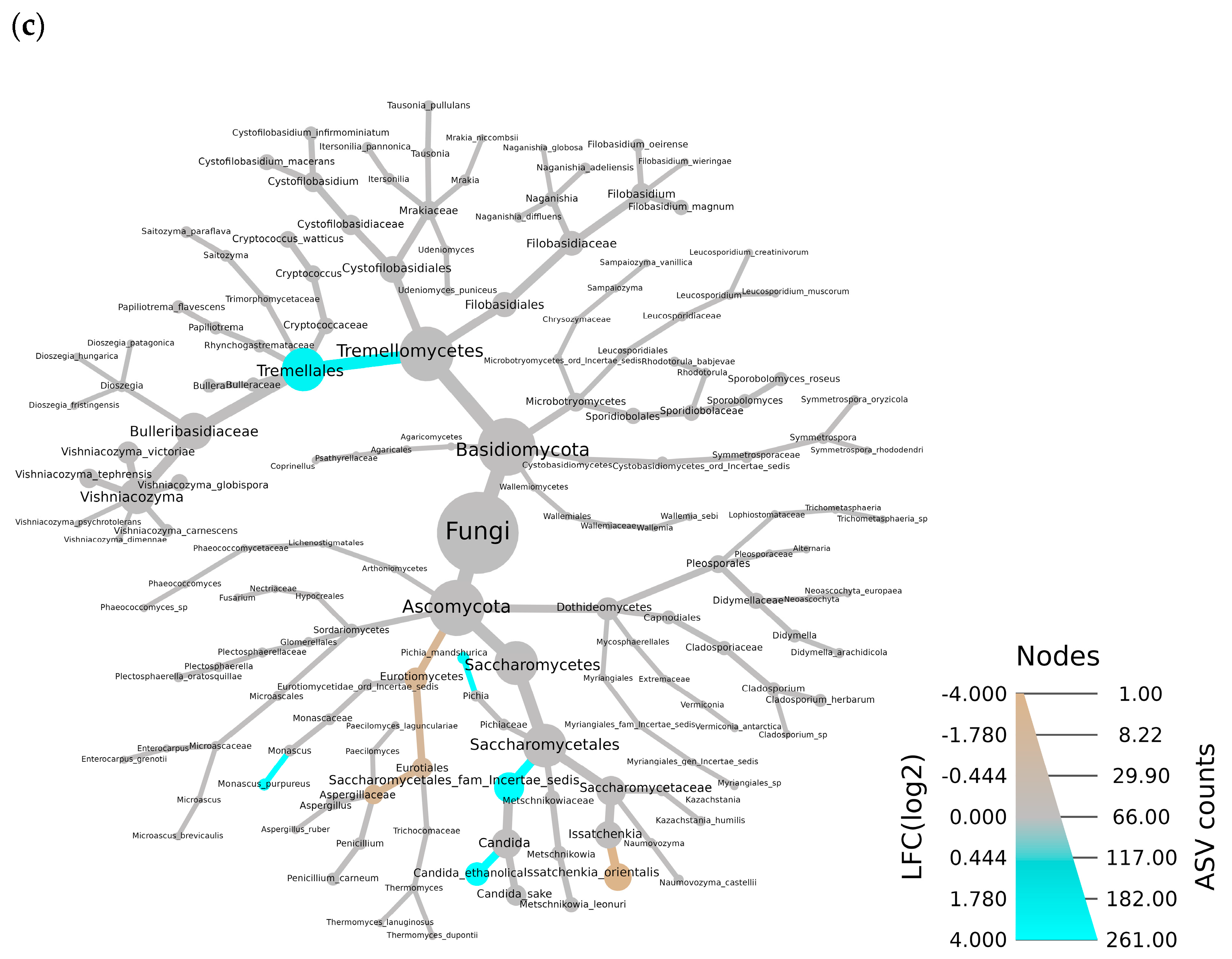 Fermentation 11 00530 g006b