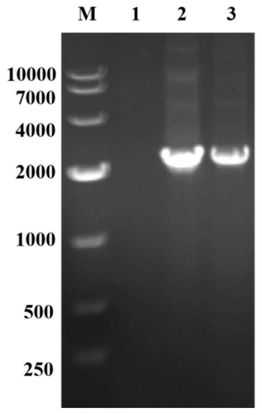 Fermentation 11 00534 g001