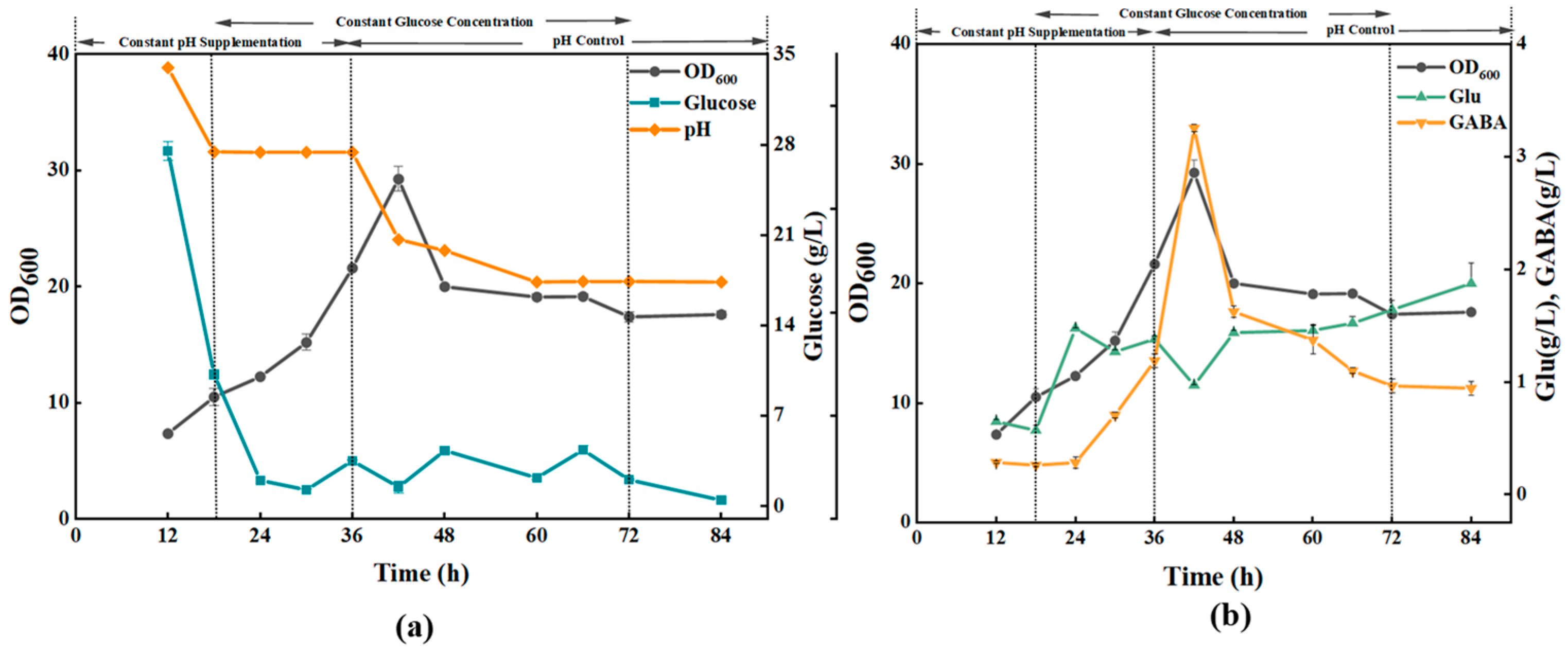 Fermentation 11 00534 g007