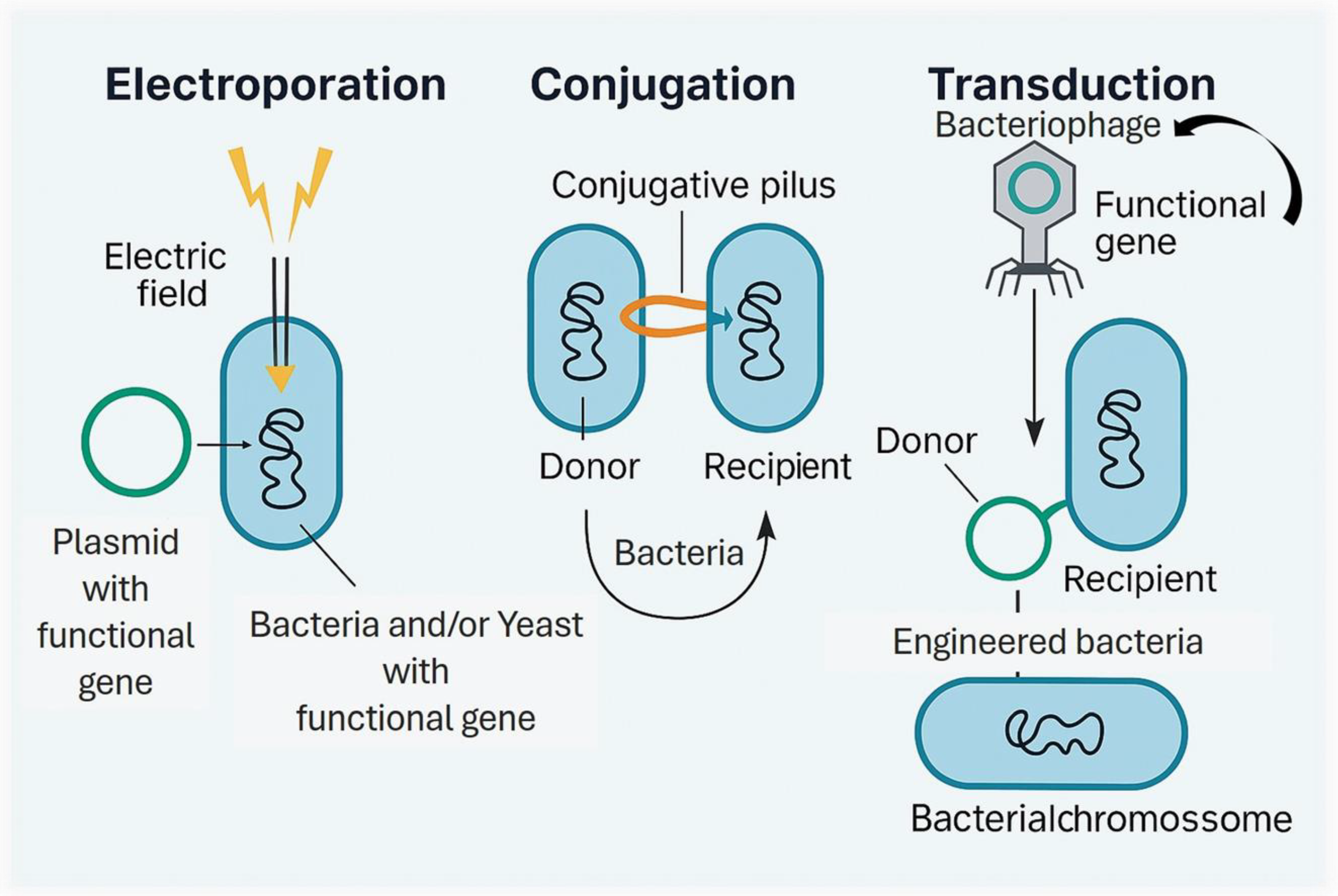 Fermentation 11 00537 g003