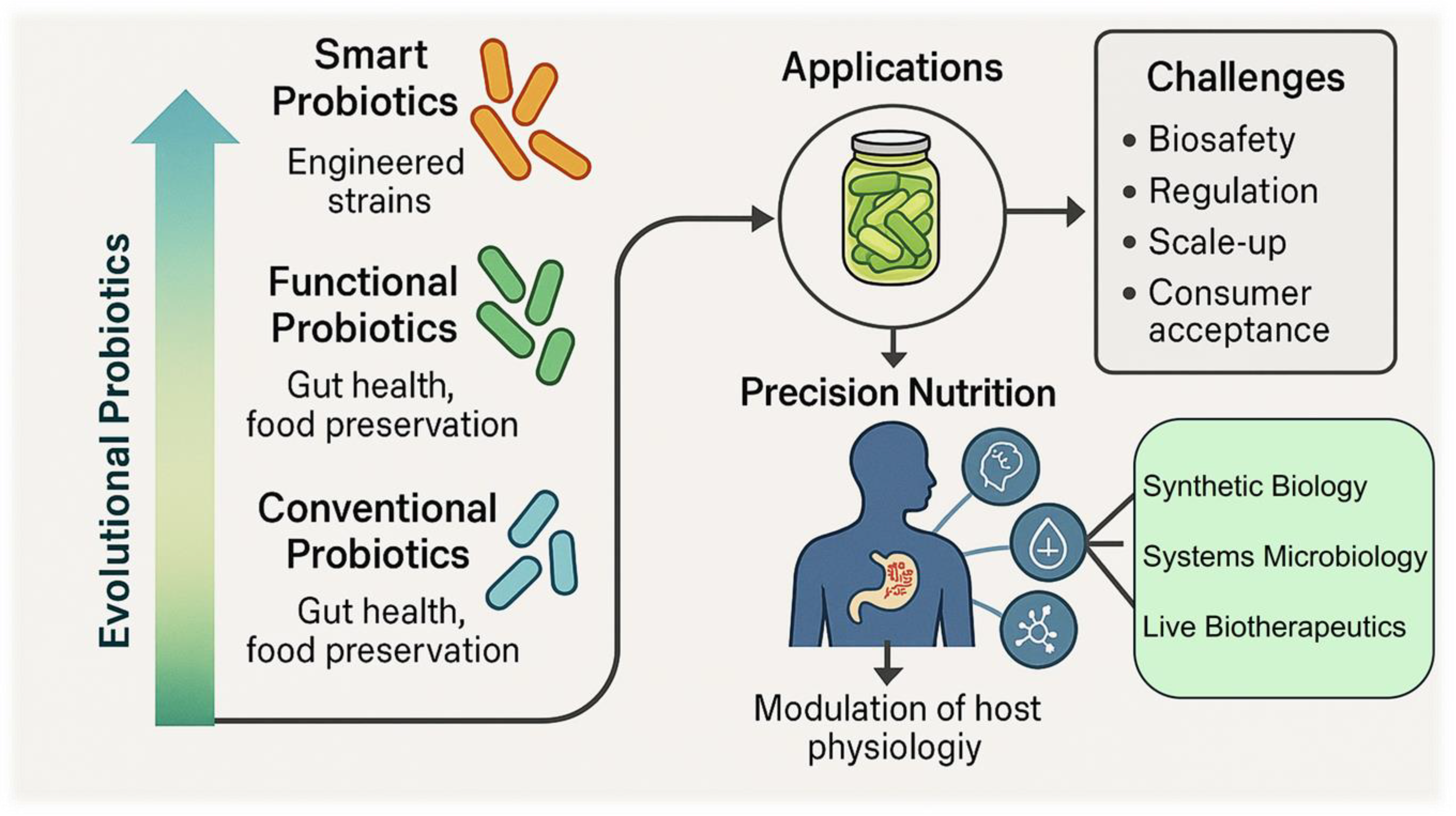 Fermentation 11 00537 g004