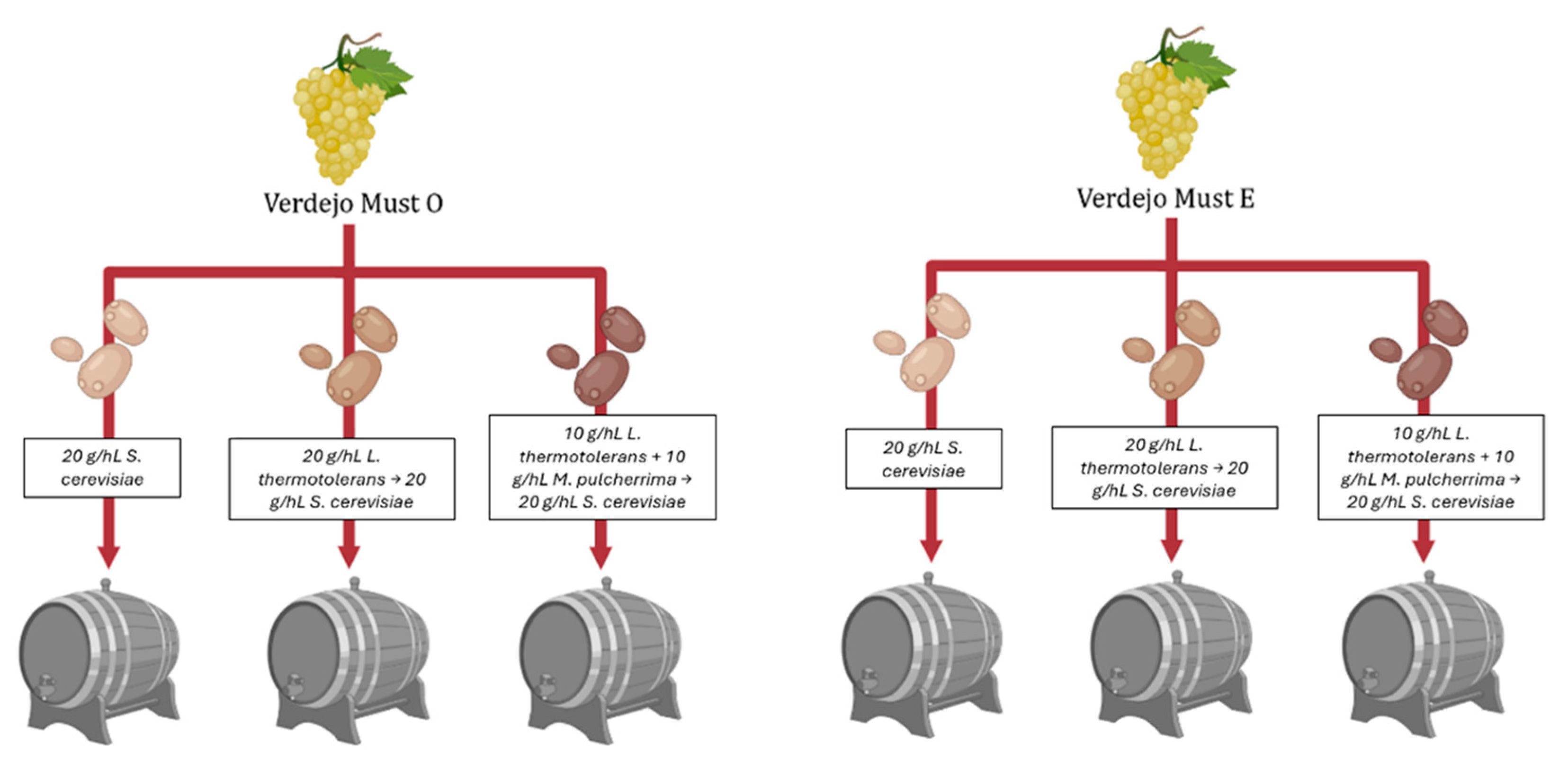 Fermentation 11 00541 g001