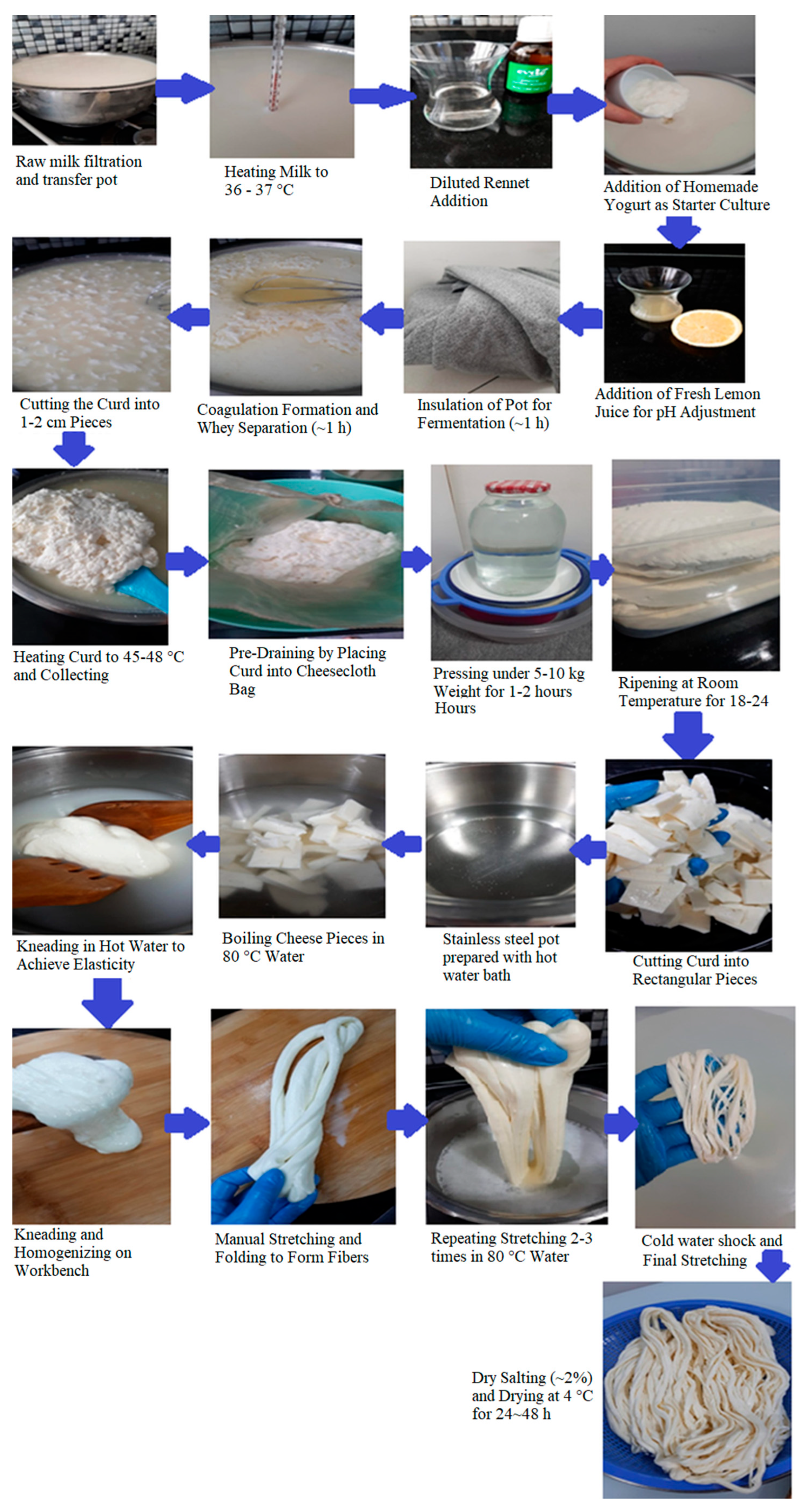 Fermentation 11 00542 g002