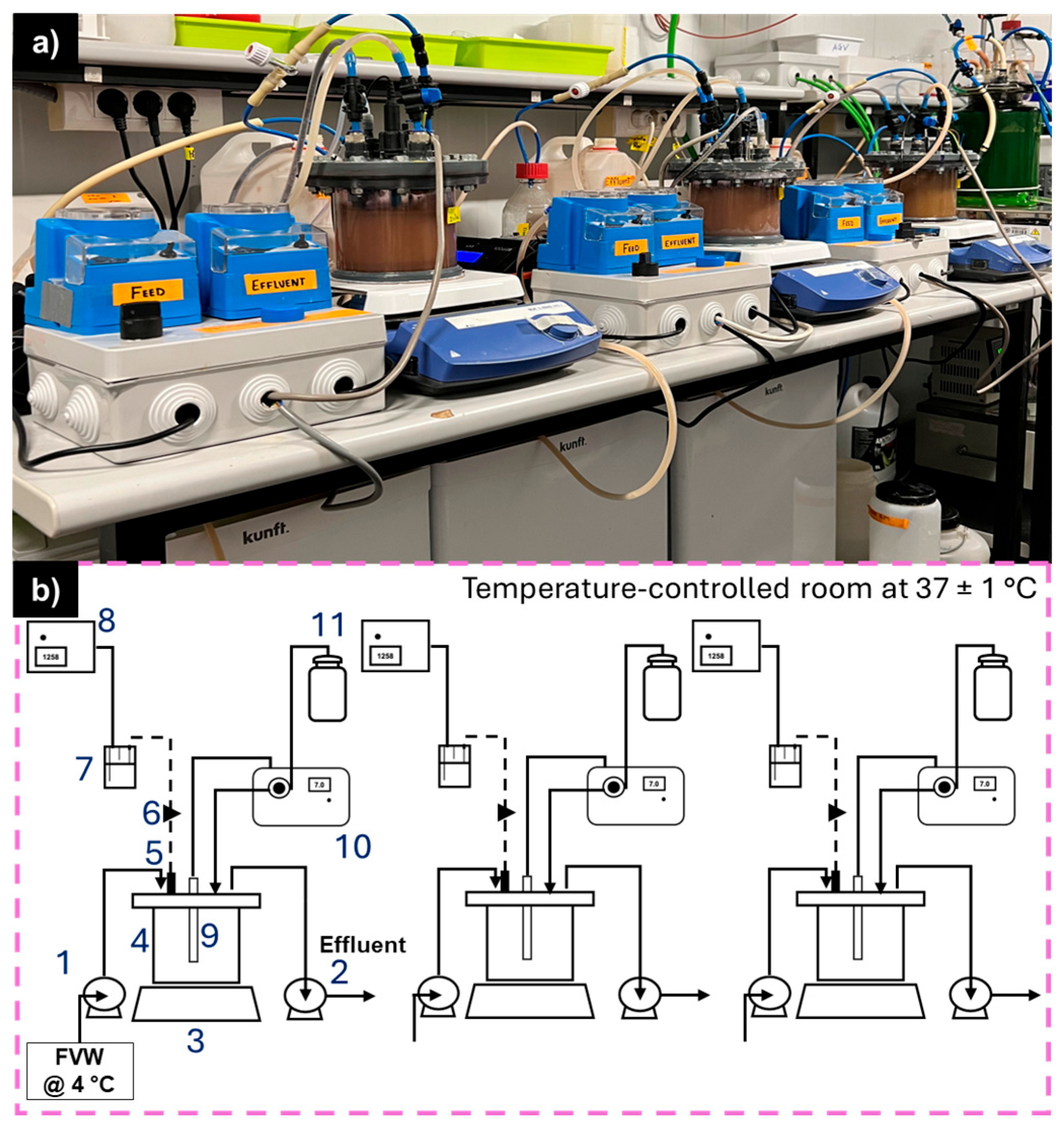 Fermentation 11 00545 g001