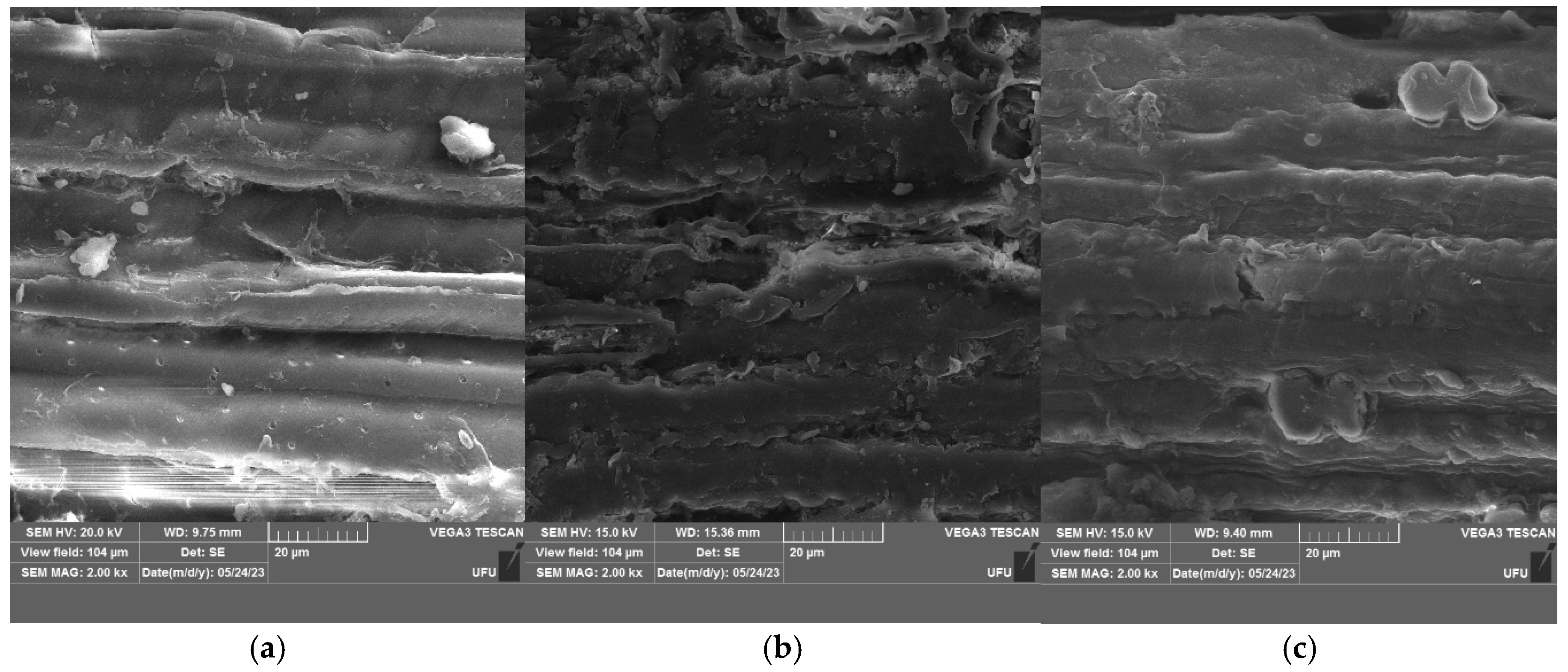 Fermentation 11 00550 g001