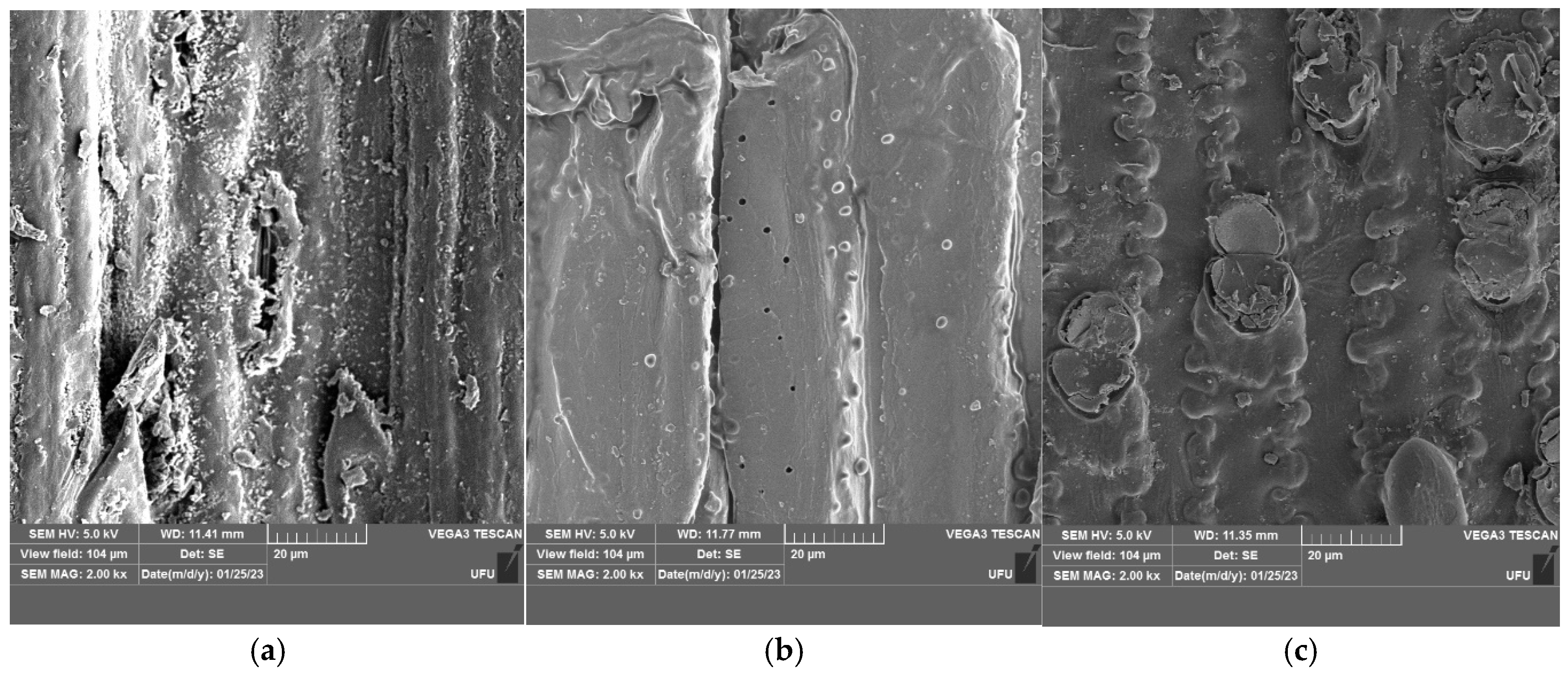 Fermentation 11 00550 g002