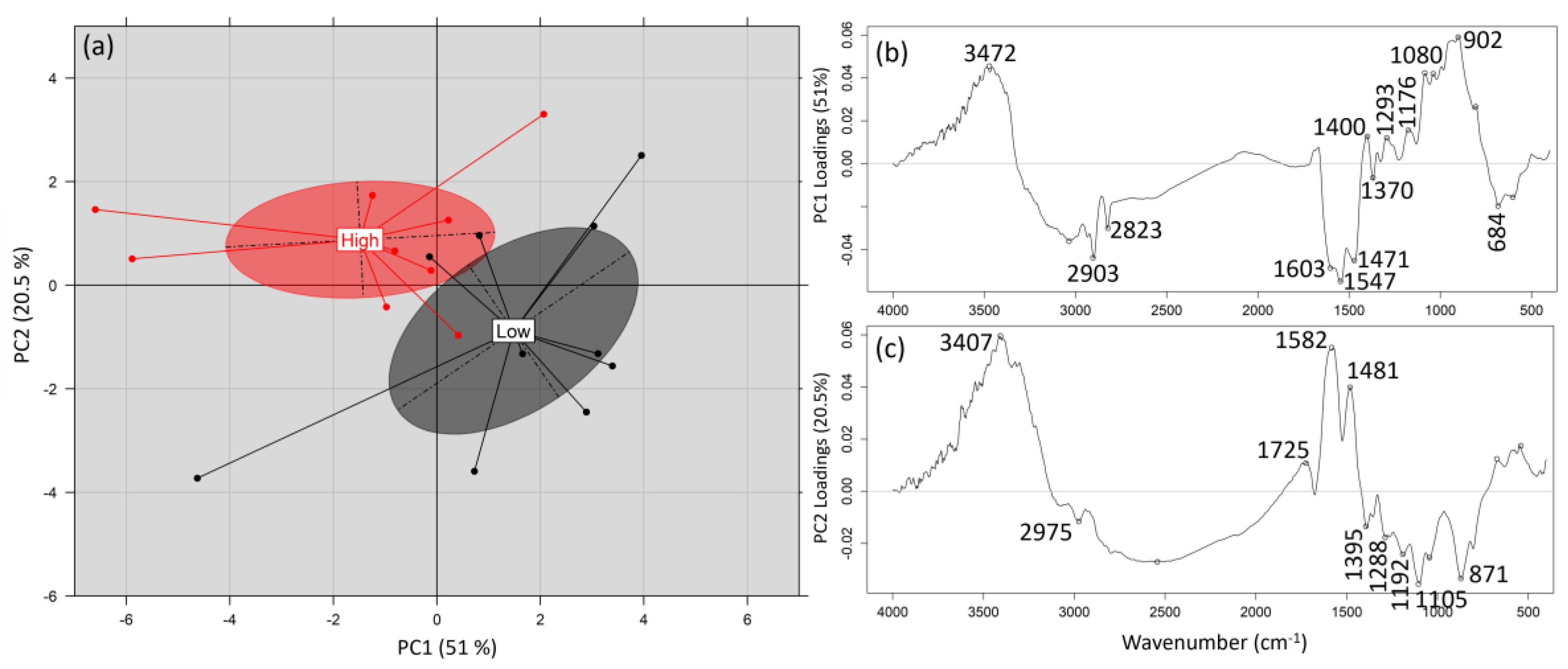 Fermentation 11 00555 g005 Fermentation 11 00555 g005