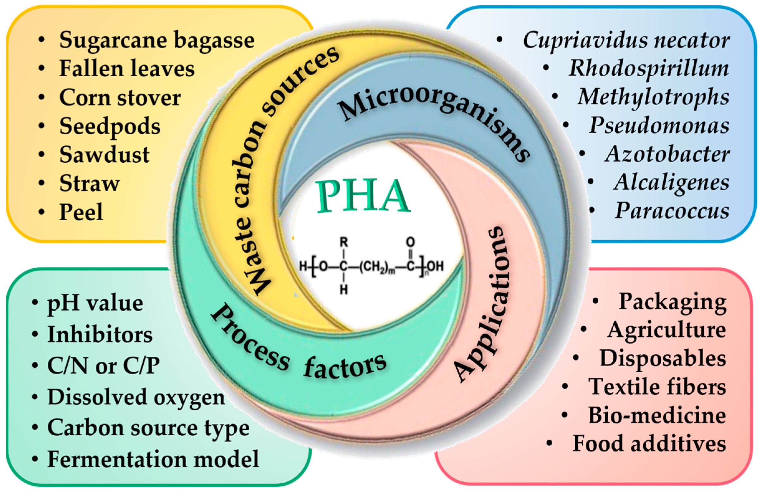 【新品レコード】CULUTURE Champions 12inch』 POP YOURS STOREより、 オリジナル楽曲の