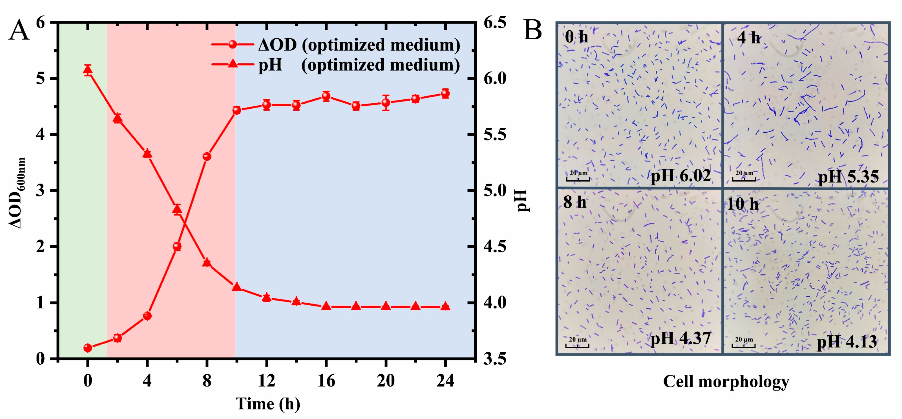 Fermentation 11 00564 g005