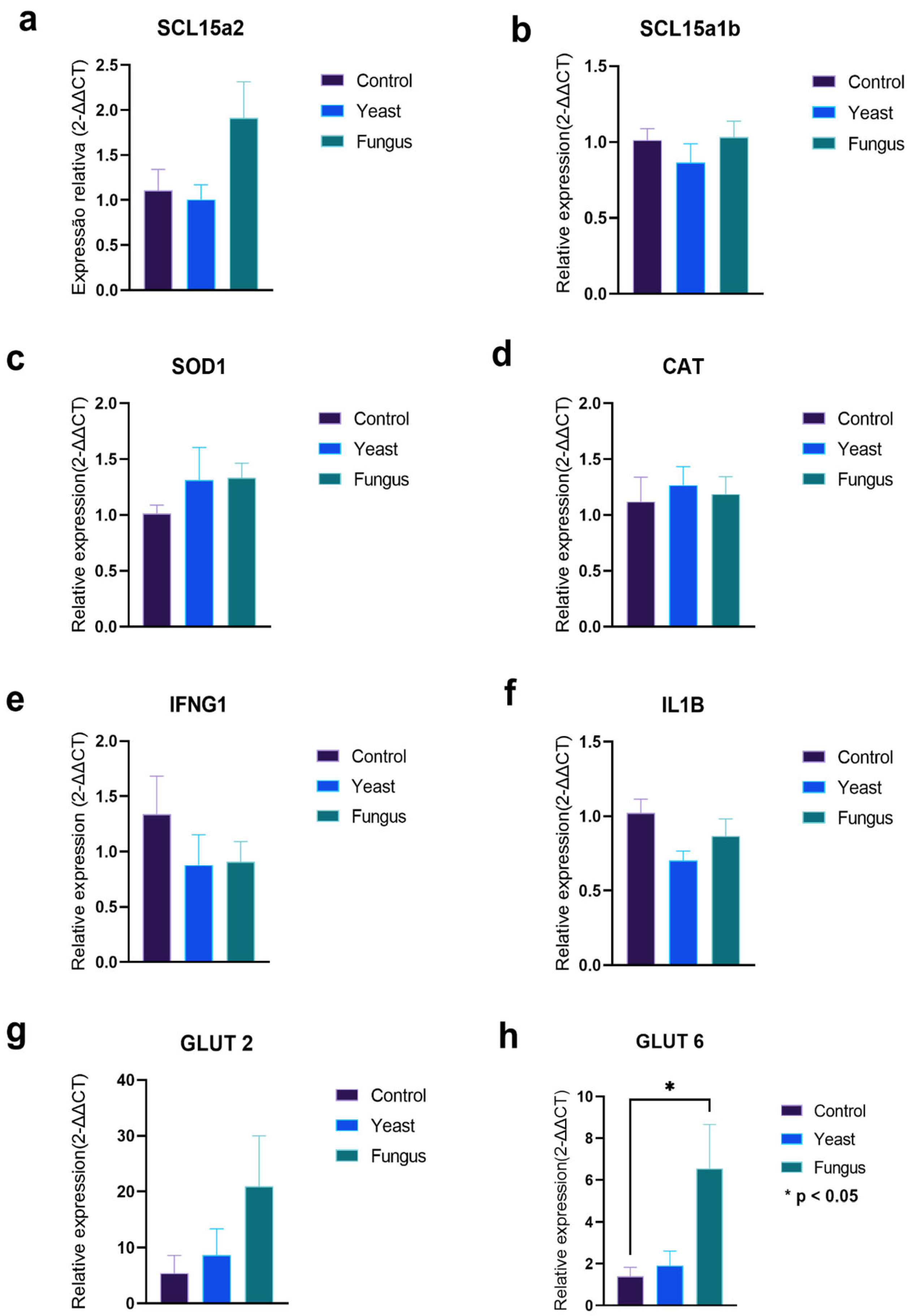 Fermentation 11 00567 g001