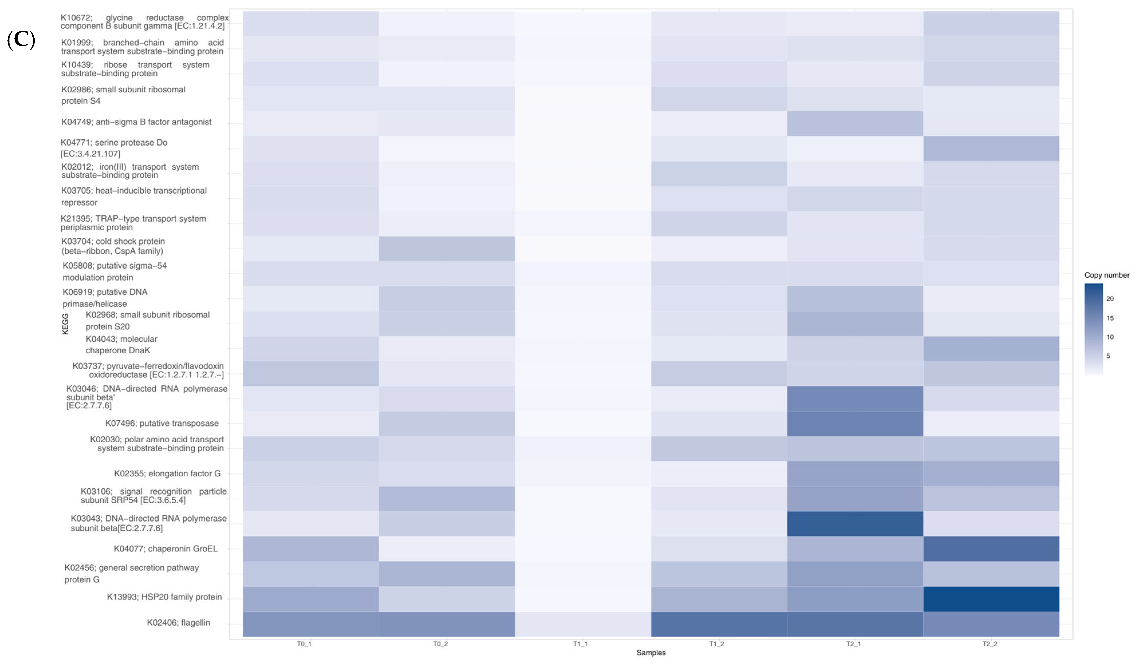 Fermentation 11 00568 g004b