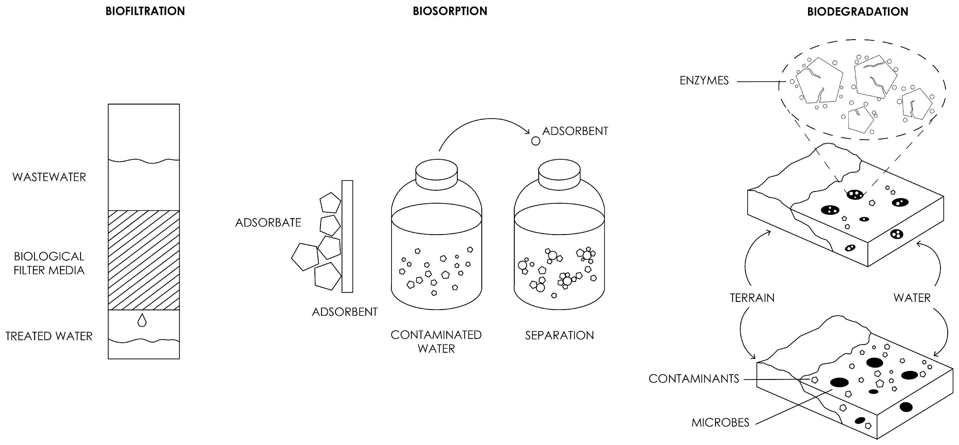 Fermentation 11 00573 g001