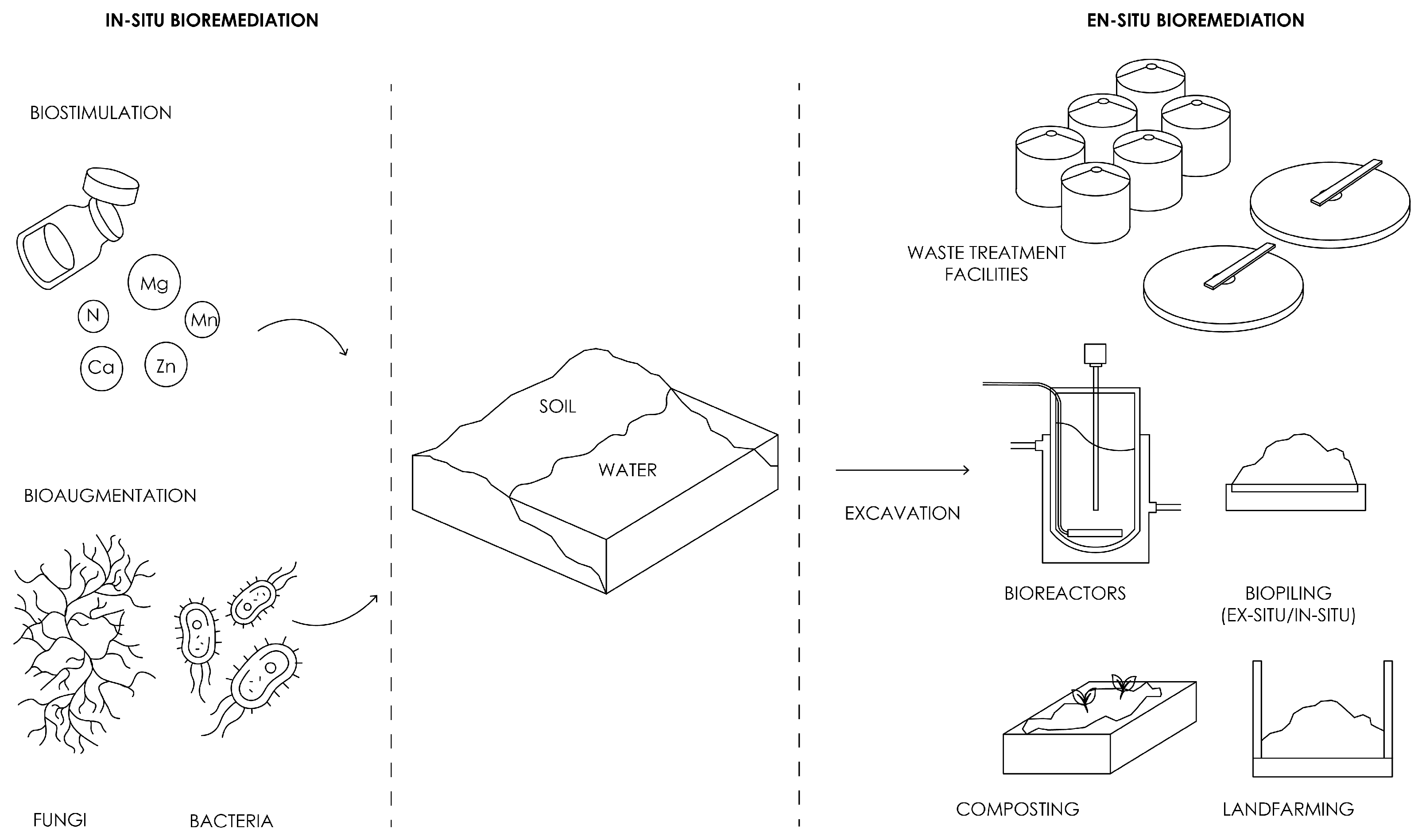 Fermentation 11 00573 g006
