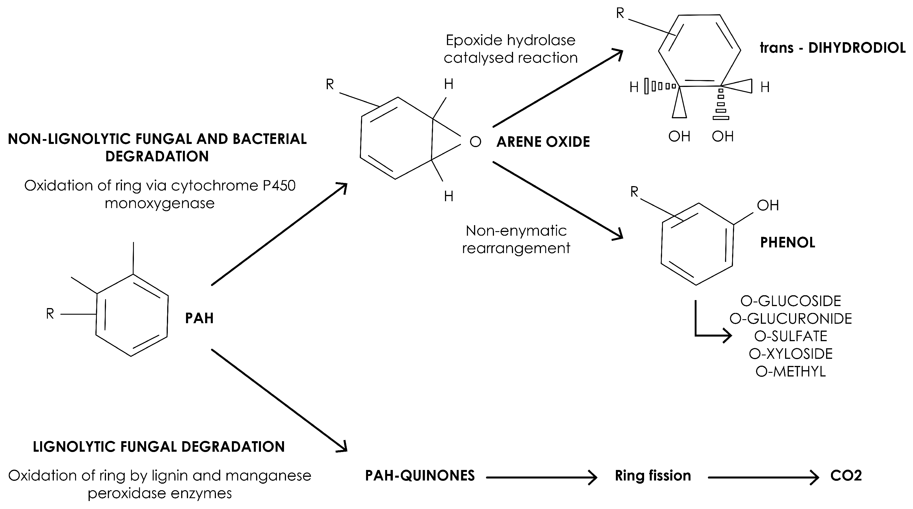 Fermentation 11 00573 g007