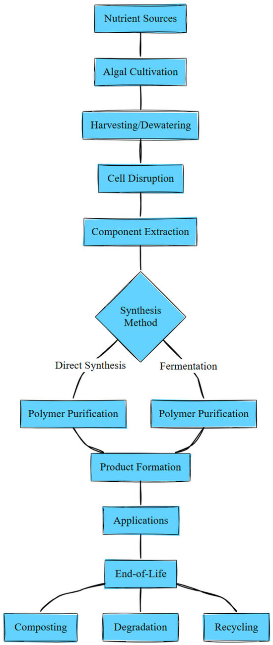 Advances in Algae-Based Bioplastics: From Strain Engineering and ...