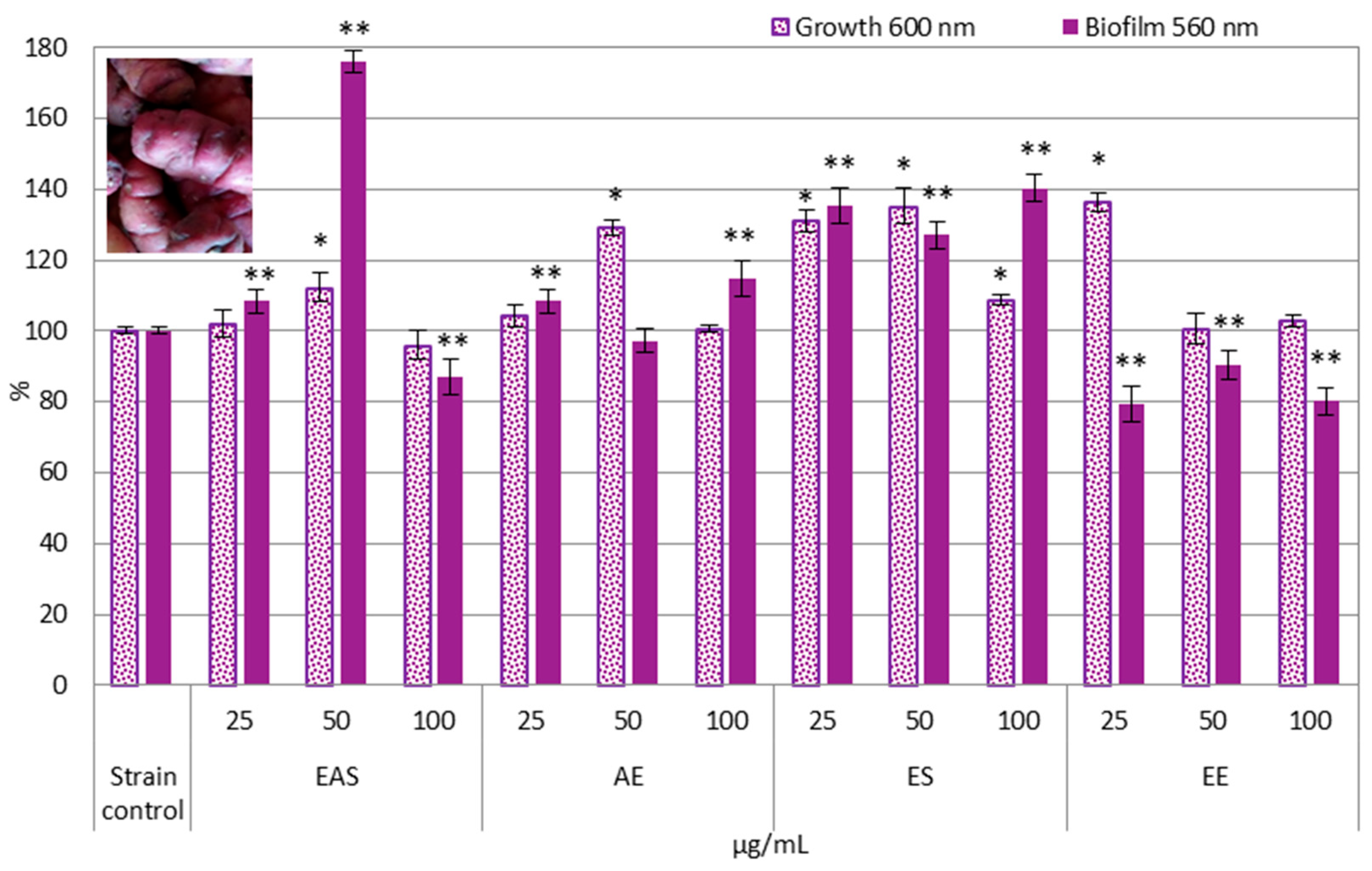 Fermentation 11 00576 g001