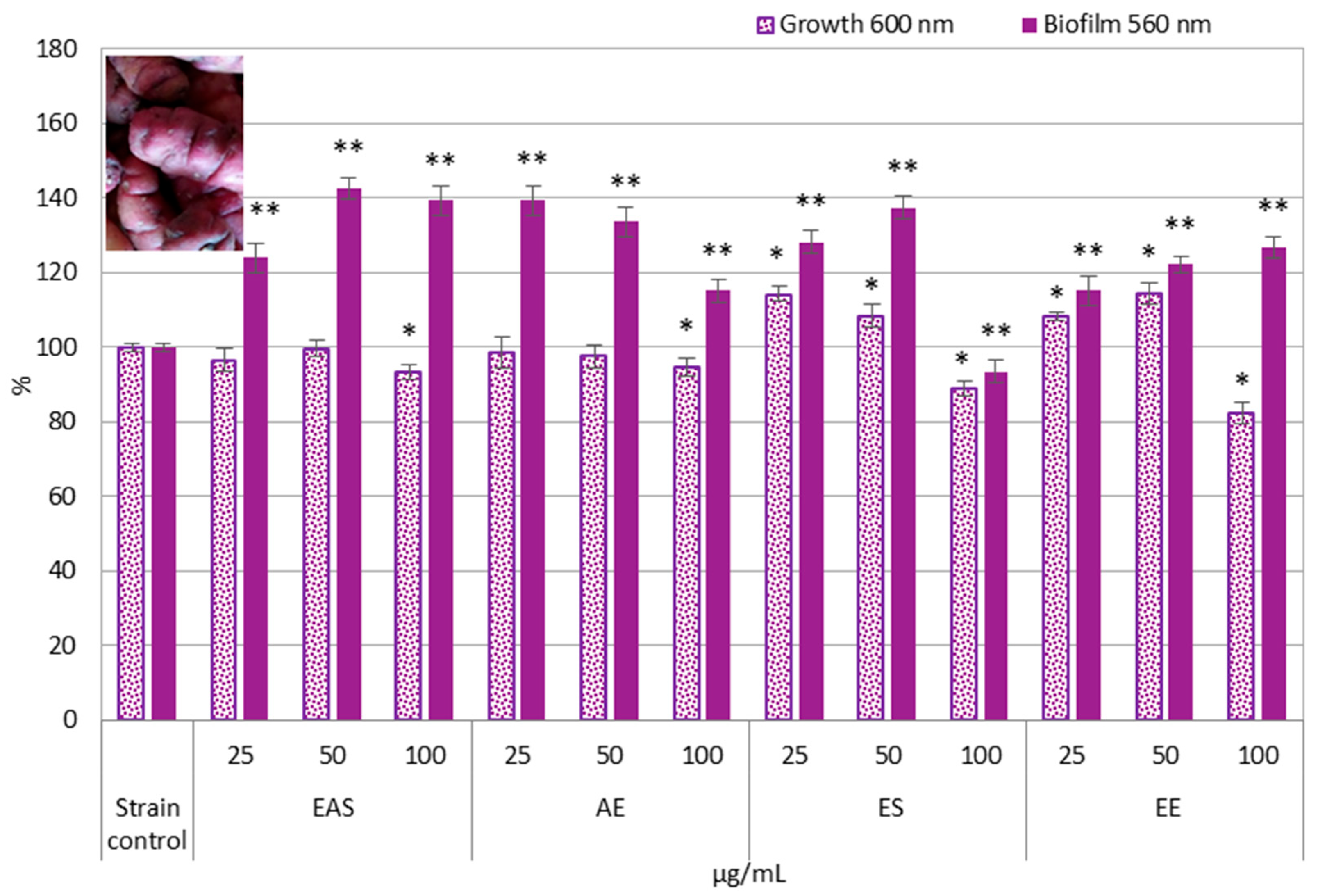Fermentation 11 00576 g002